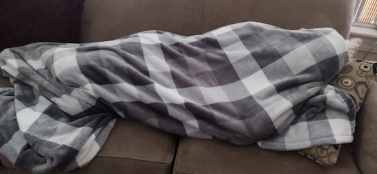 A couch is covered by a large, soft blanket with a checkered pattern in shades of gray and white. There is a decorative pillow with a circular design next to it.