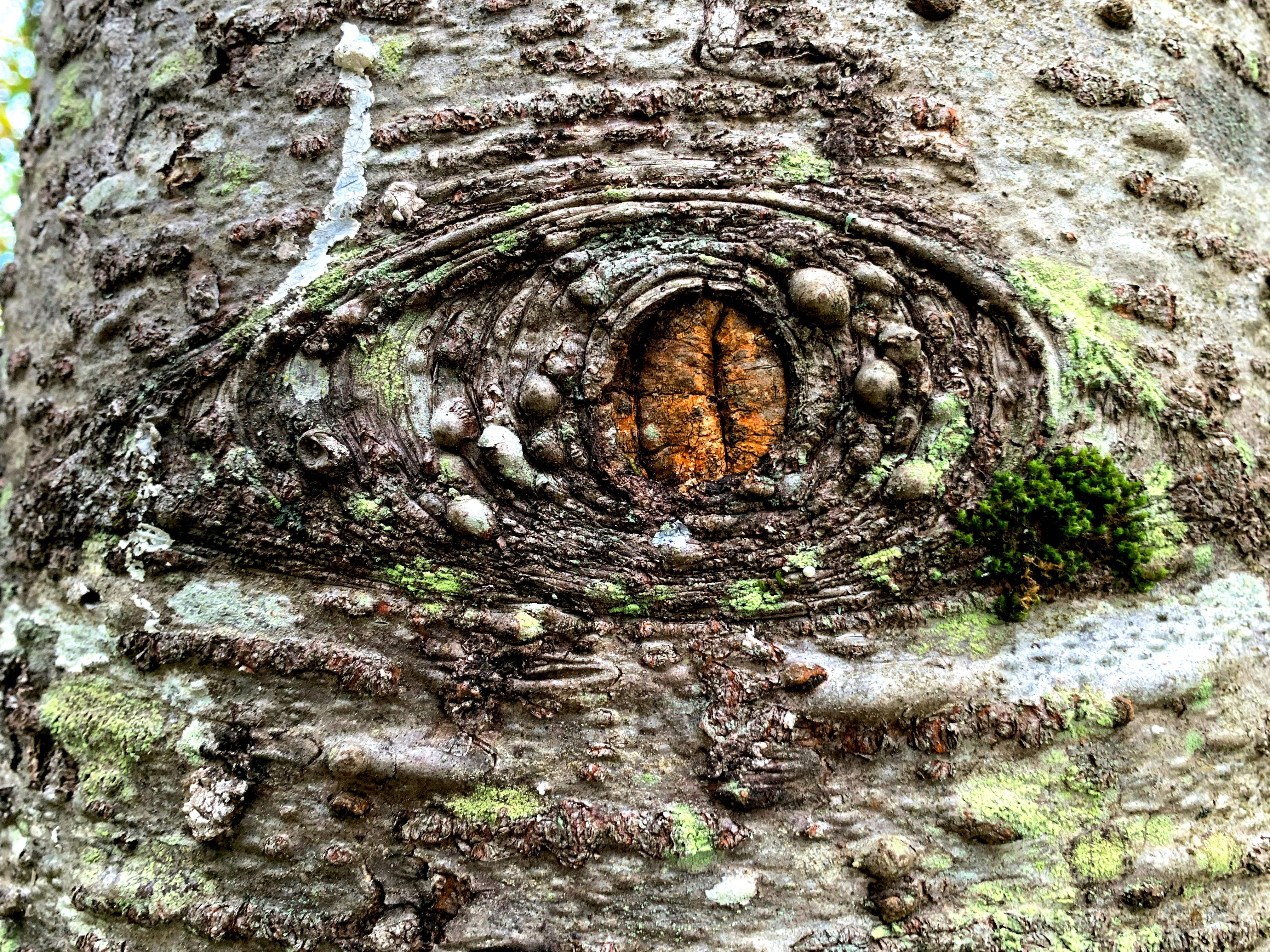 What happened in Residential Construction this week? 04-07-2025