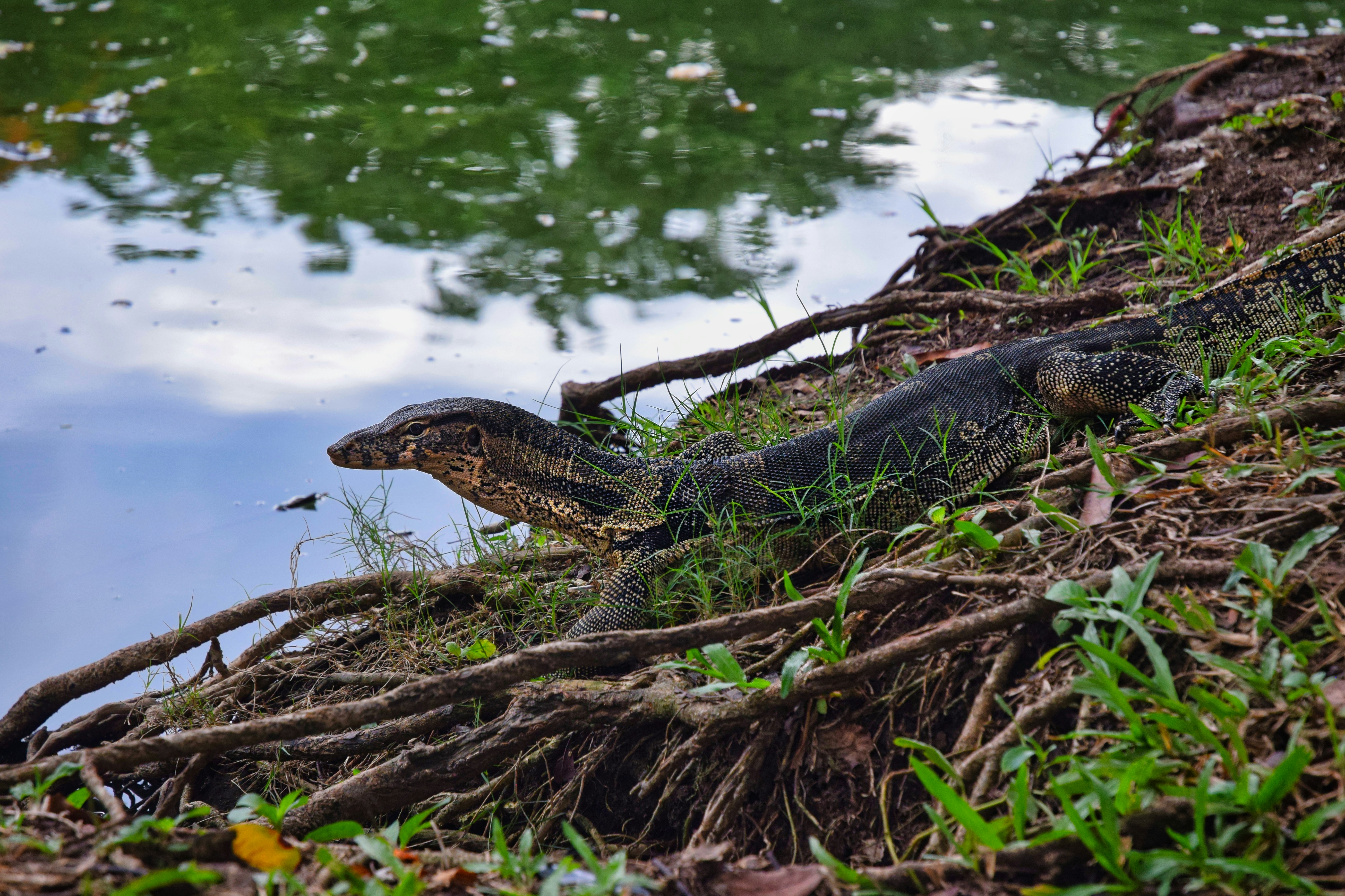 Photo by joe_climate