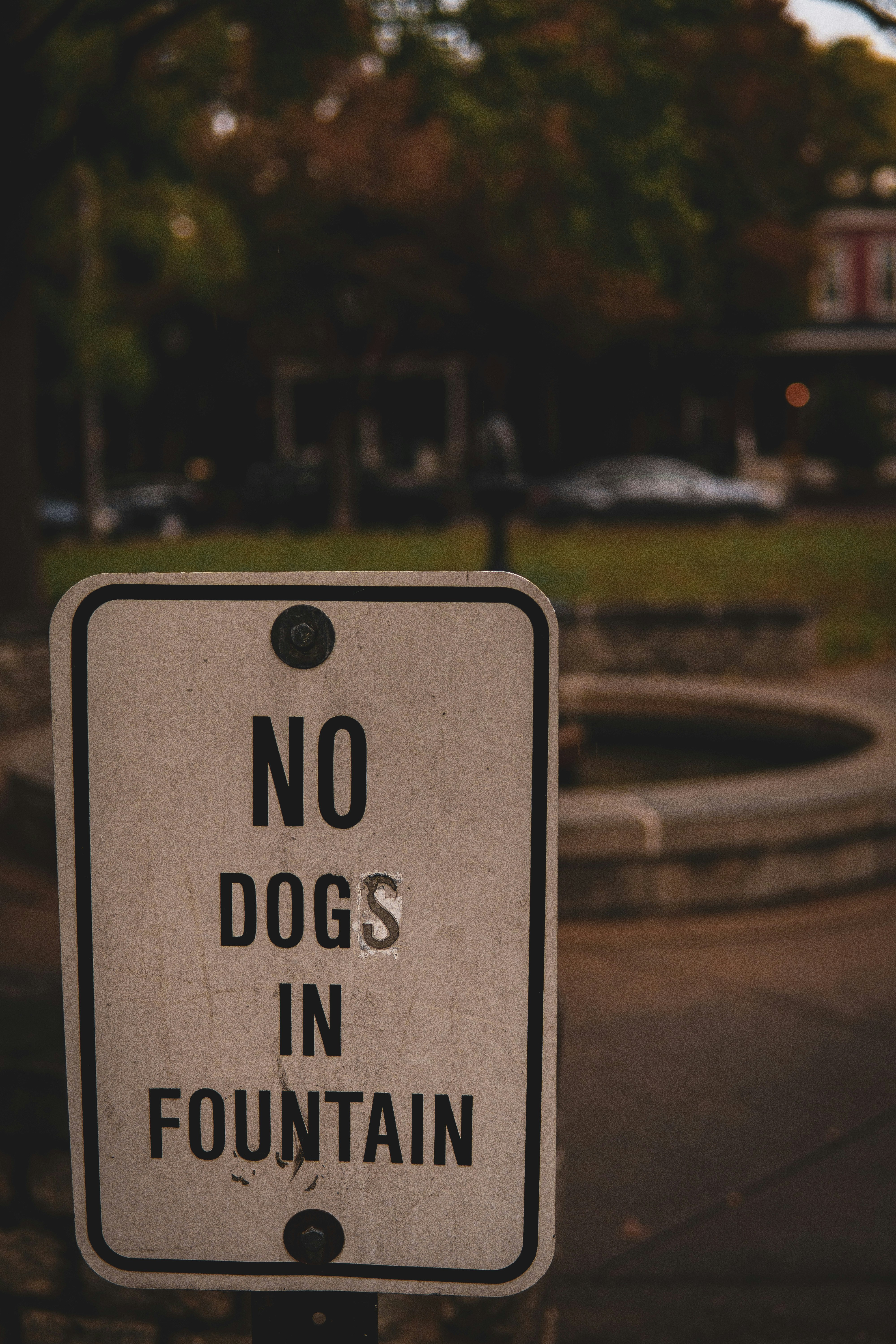 a sign that says no dogs in fountain