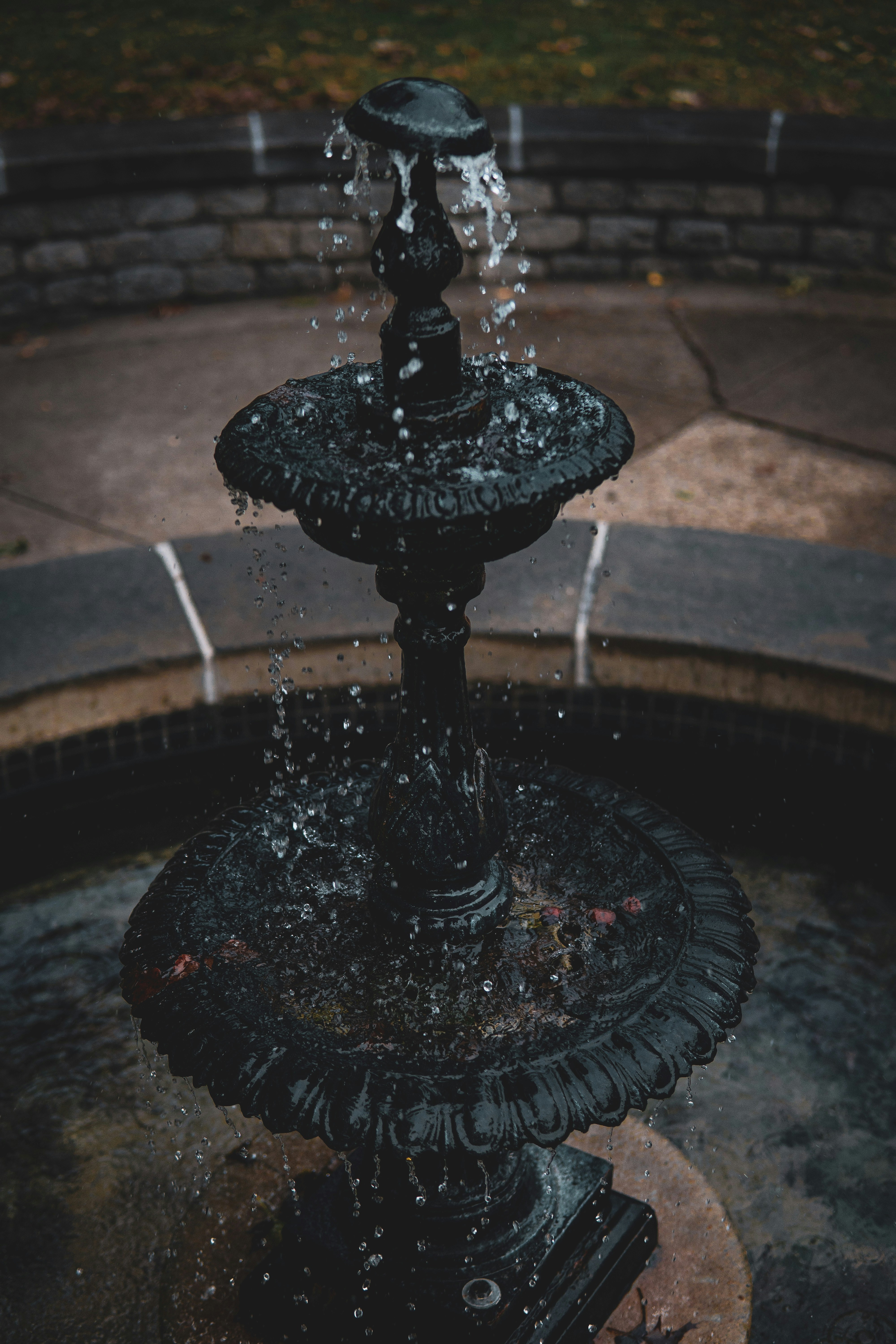 Photo by keepitchassephotography