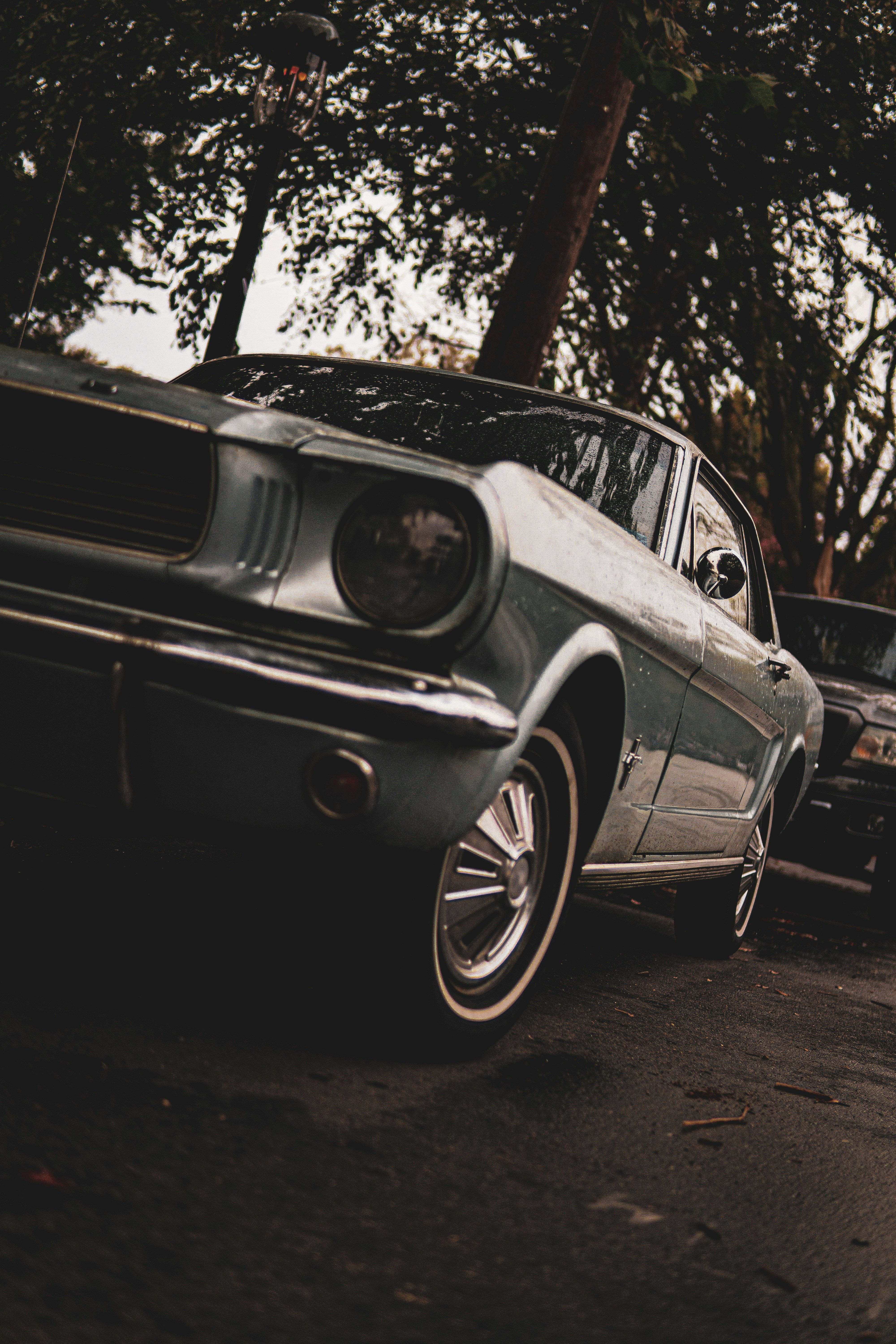 Photo by keepitchassephotography