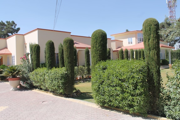 A modern villa with a cream exterior and red roofing is surrounded by neatly trimmed hedges and tall, cylindrical shrubs. The driveway is paved with patterned stones, and a large potted plant adds a decorative touch near the entrance. The sky is clear and bright, suggesting a sunny day.