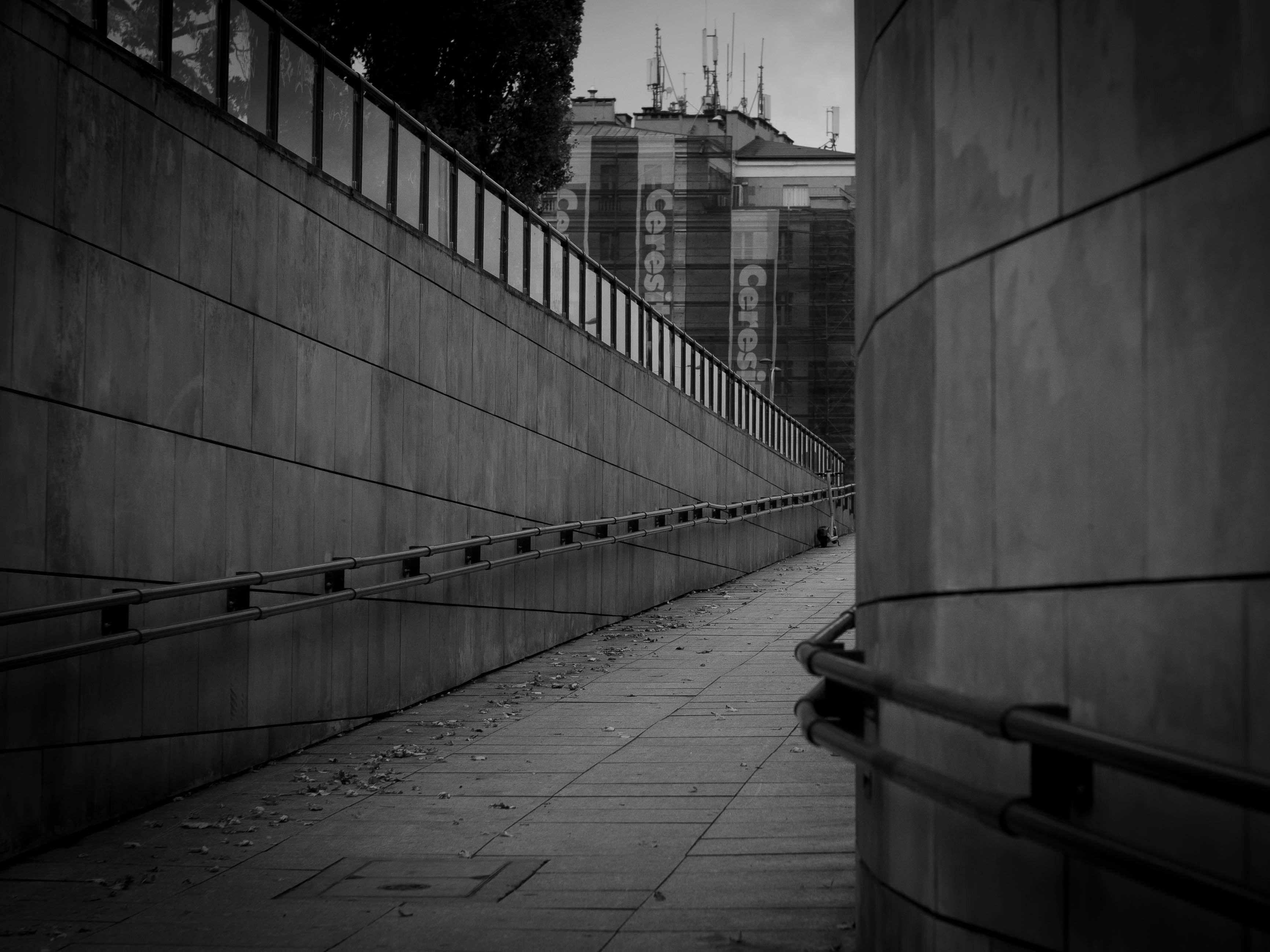 Photo by zemanmikolaj