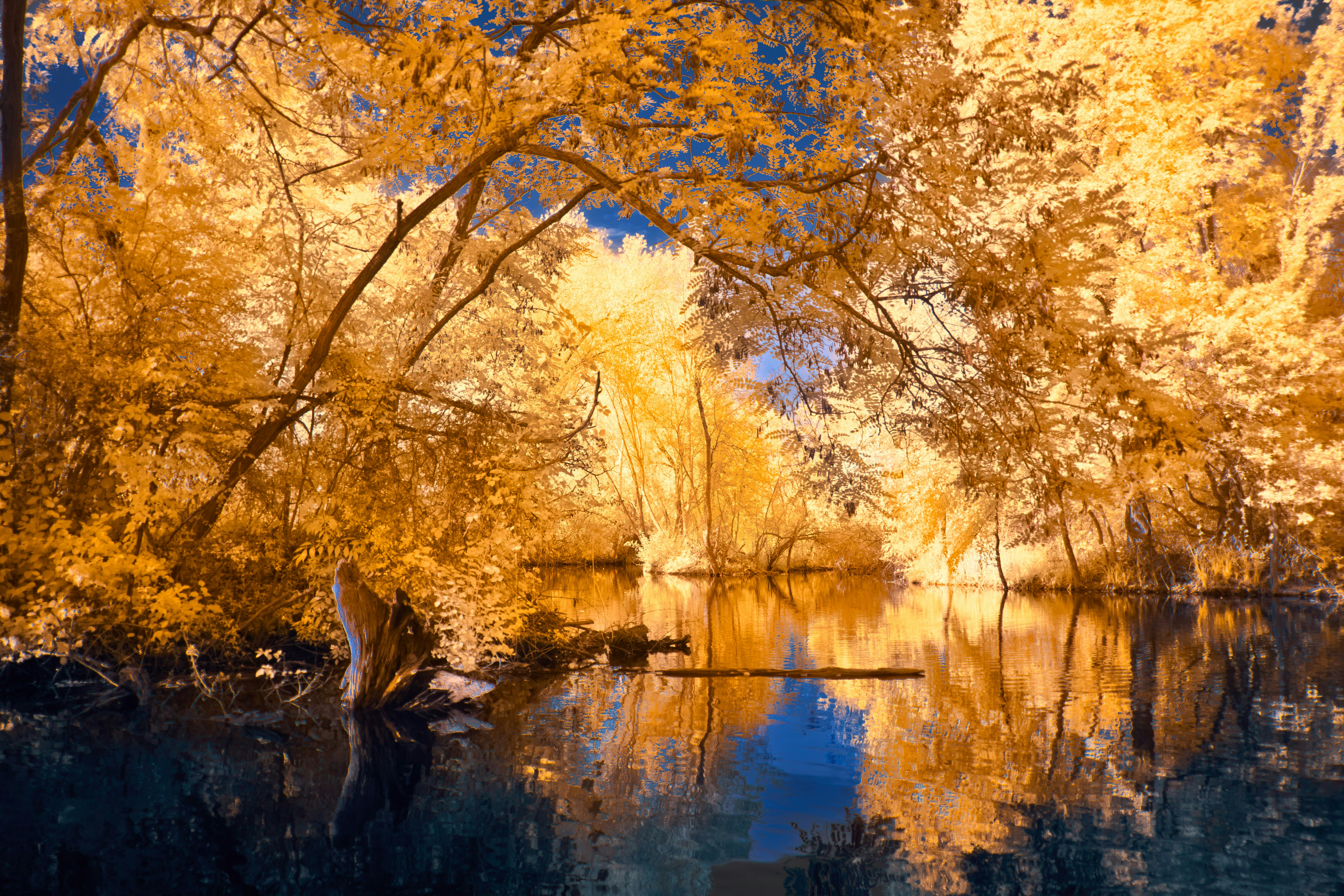 Photo by wolfgang_hasselmann