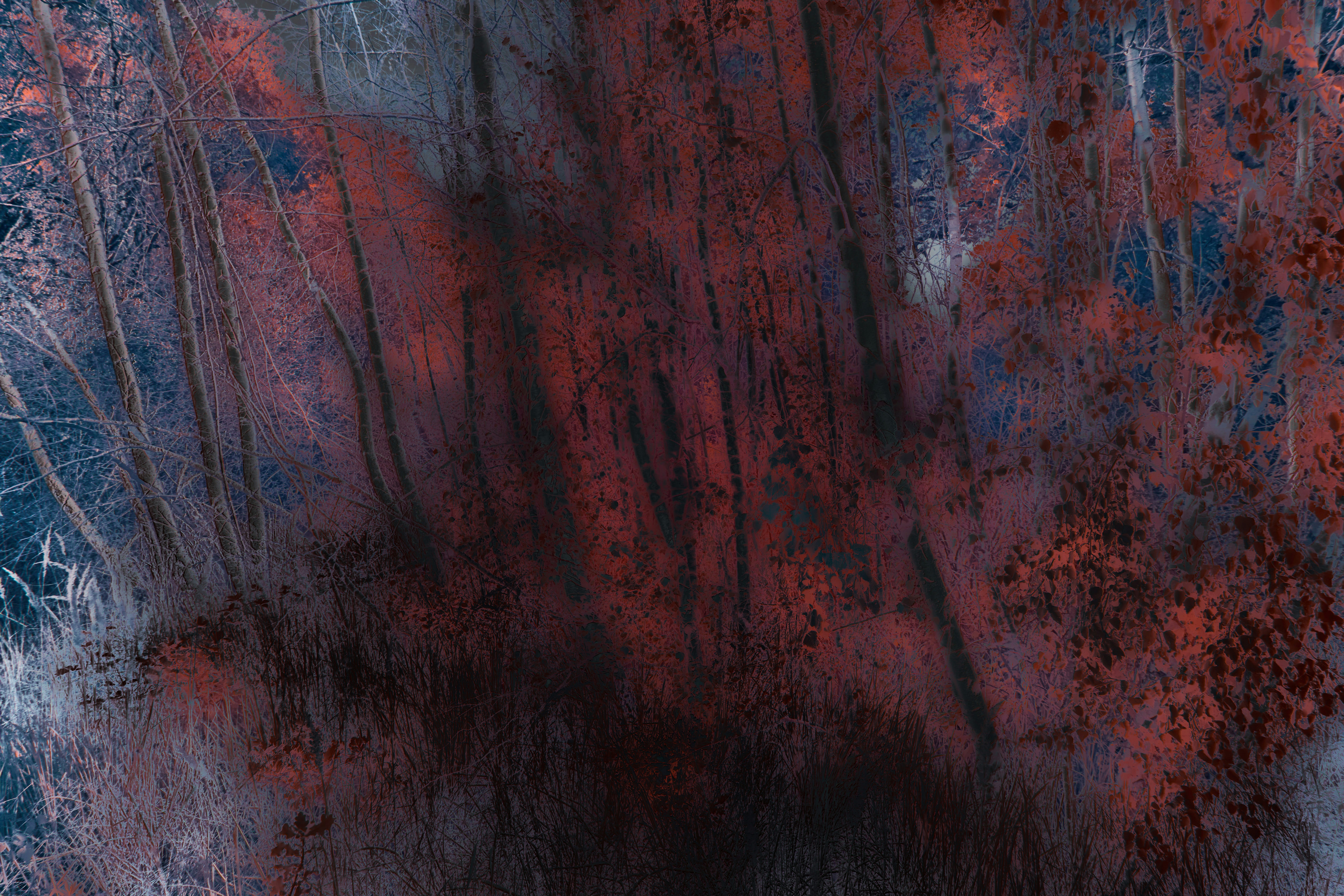 Photo by wolfgang_hasselmann