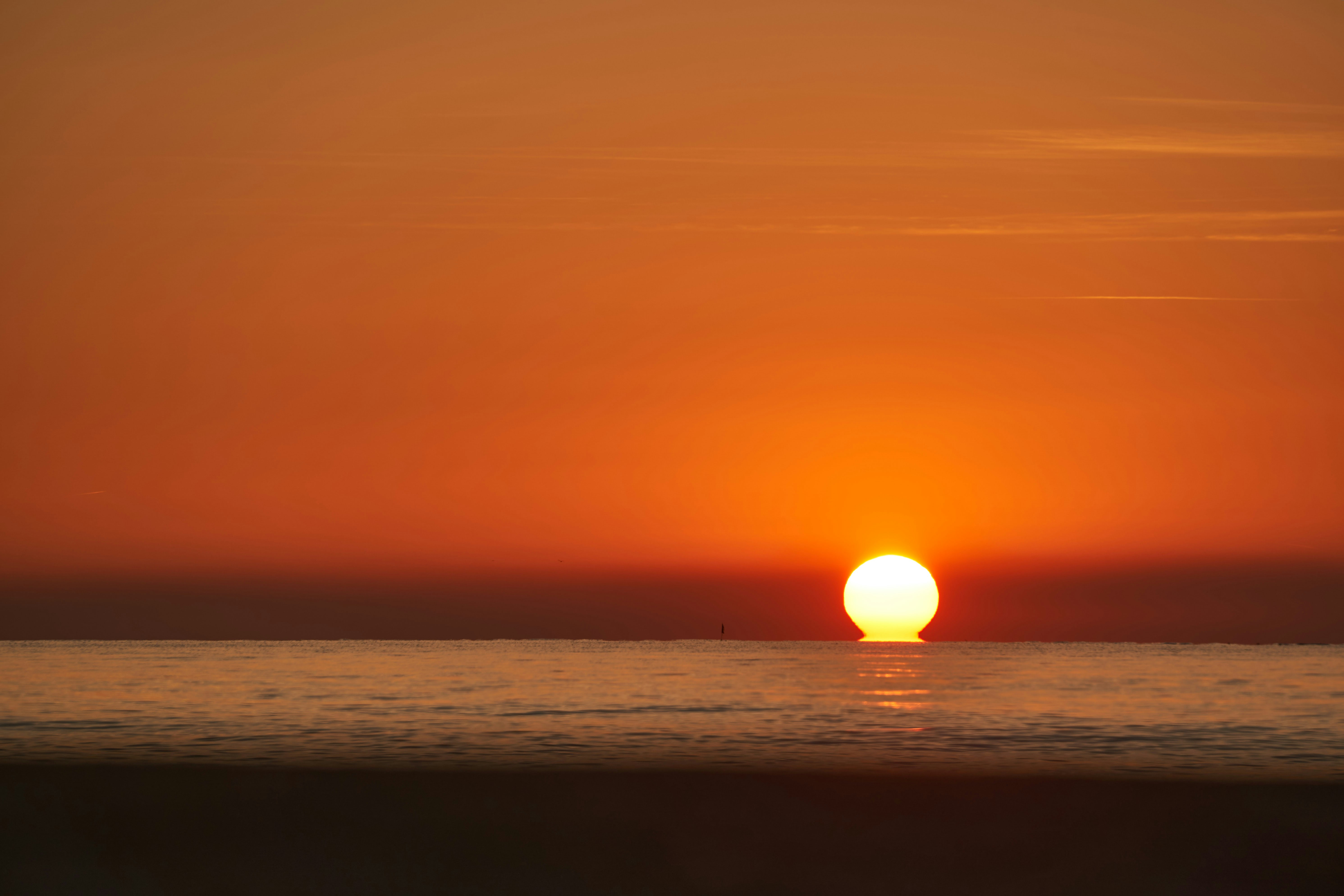 Photo by wolfgang_hasselmann