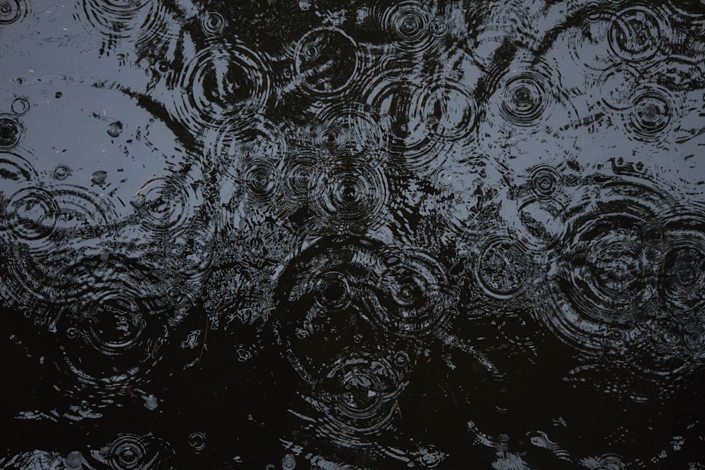 Una foto en blanco y negro de gotas de lluvia