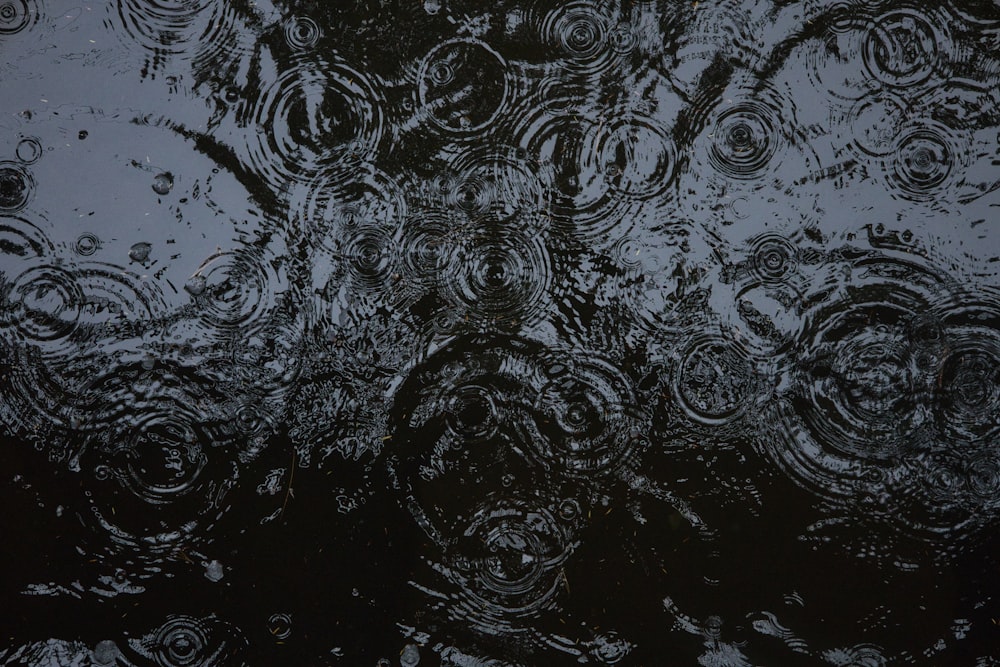 a black and white photo of rain drops