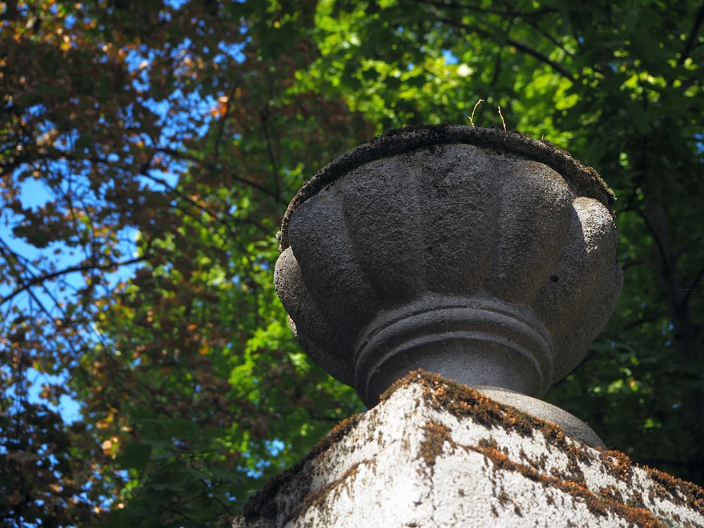 a close up of a pole with trees in the background