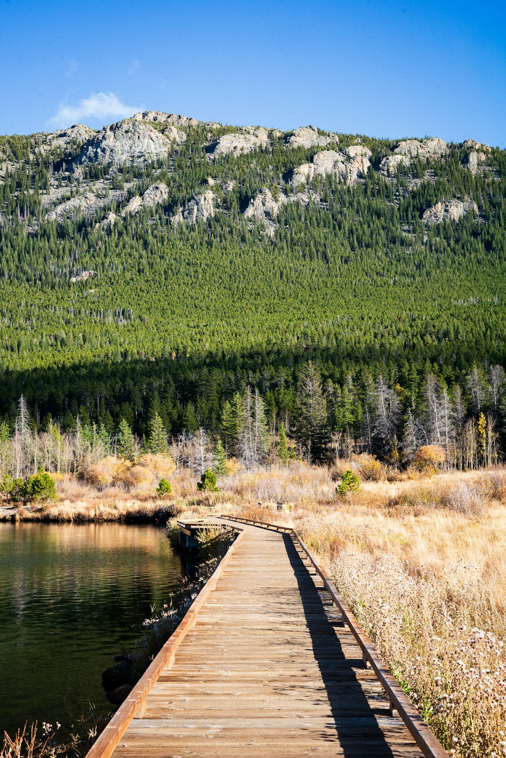 a long wooden bridge over a body of water