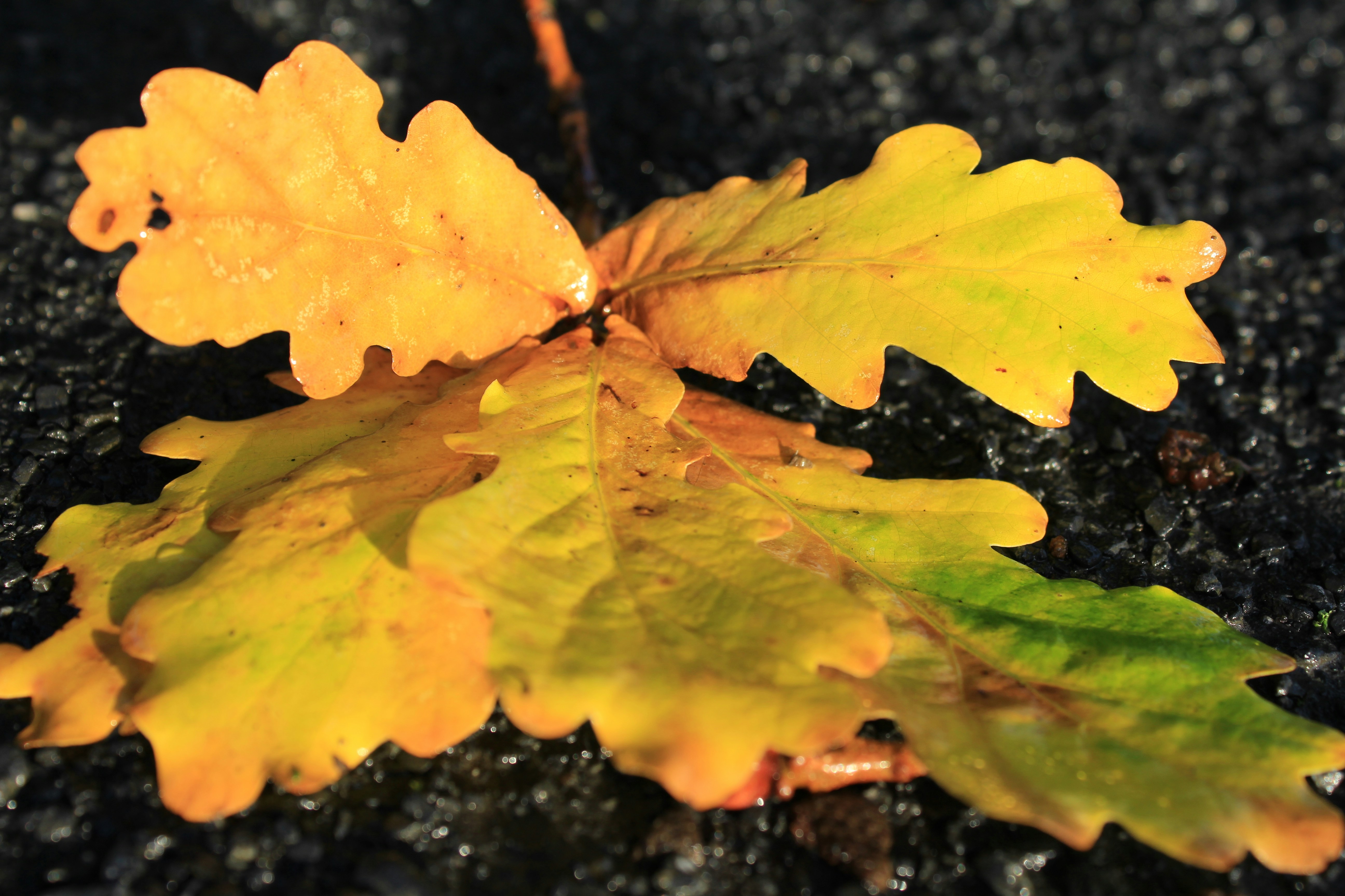 Photo by anna_zhynhel