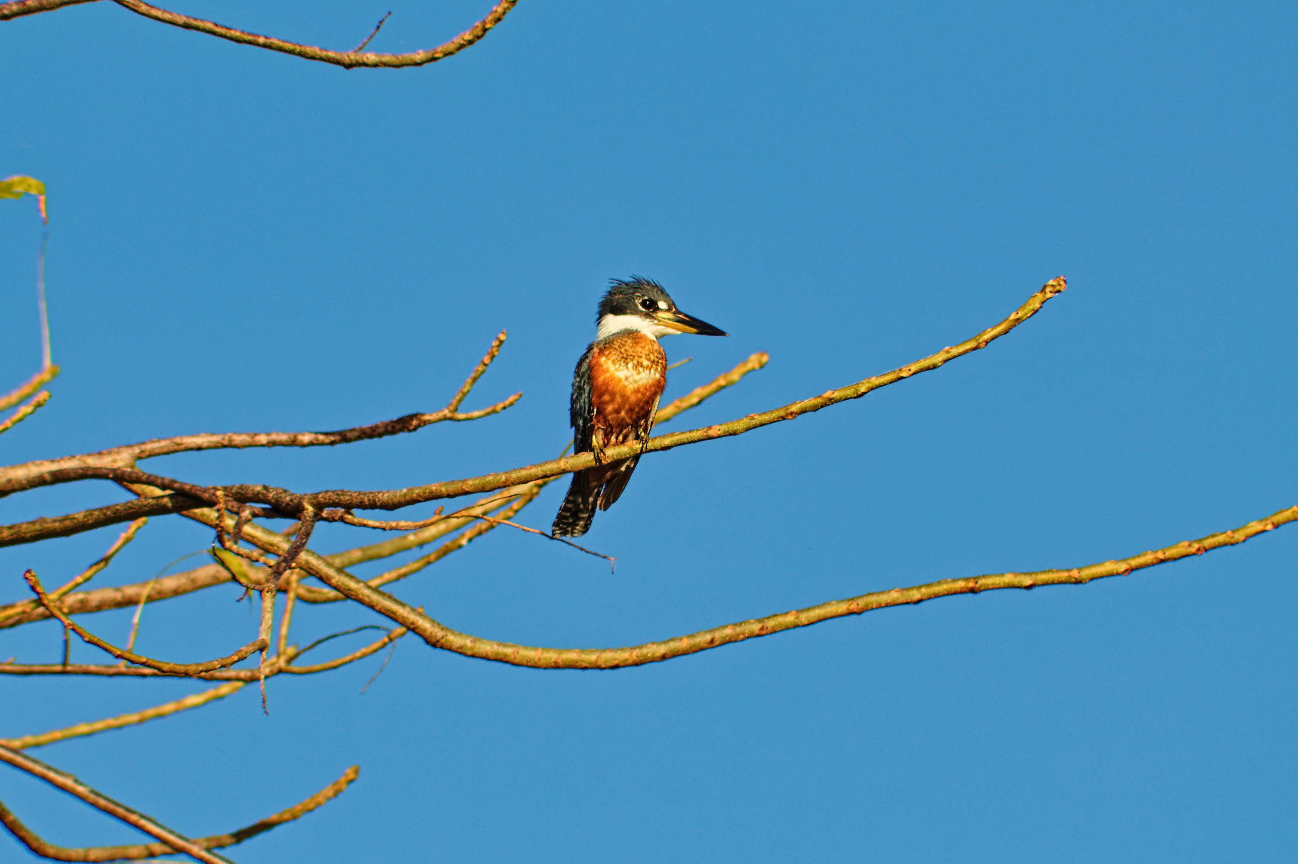 Photo by filipesizilio