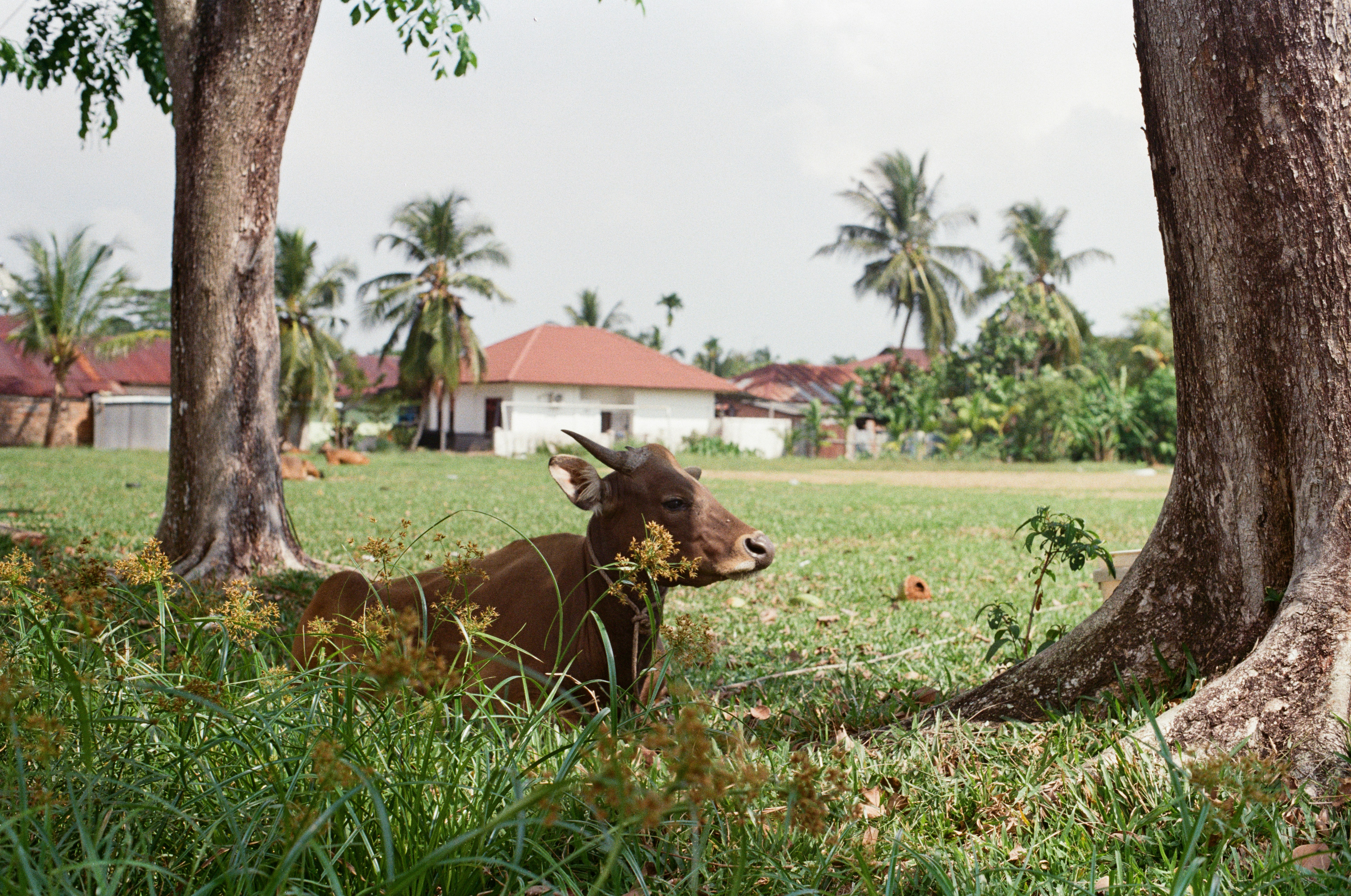 Photo by koalalifeart