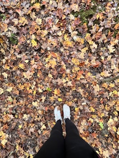 Casual sneakers worn by someone walking through a park in autumn.