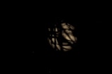 Dark composition with abstract shadows and patterns against a dimly lit background, creating a mysterious and obscured effect.