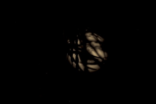 Dark composition with abstract shadows and patterns against a dimly lit background, creating a mysterious and obscured effect.
