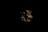 Dark composition with abstract shadows and patterns against a dimly lit background, creating a mysterious and obscured effect.