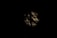 Dark composition with abstract shadows and patterns against a dimly lit background, creating a mysterious and obscured effect.