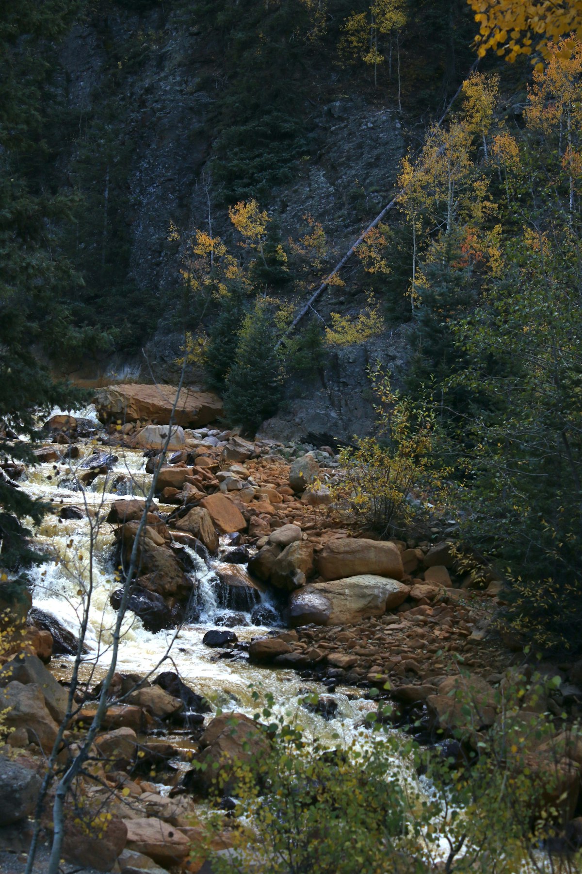 A quiet Colorado mountain stream at the end of the day — the takeout, where the truck kit's last job is the tailgate
