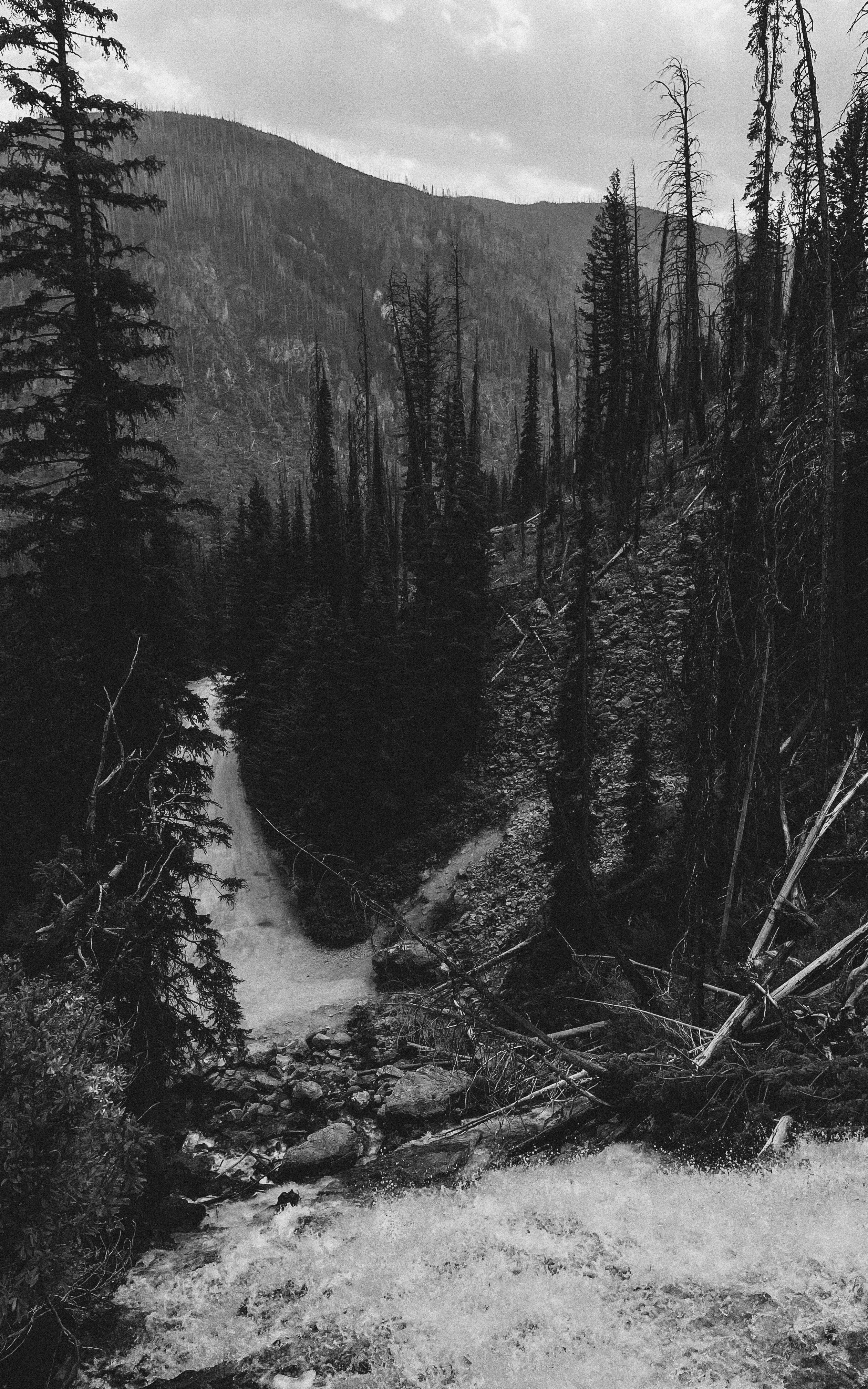 Photo by aidan_everest