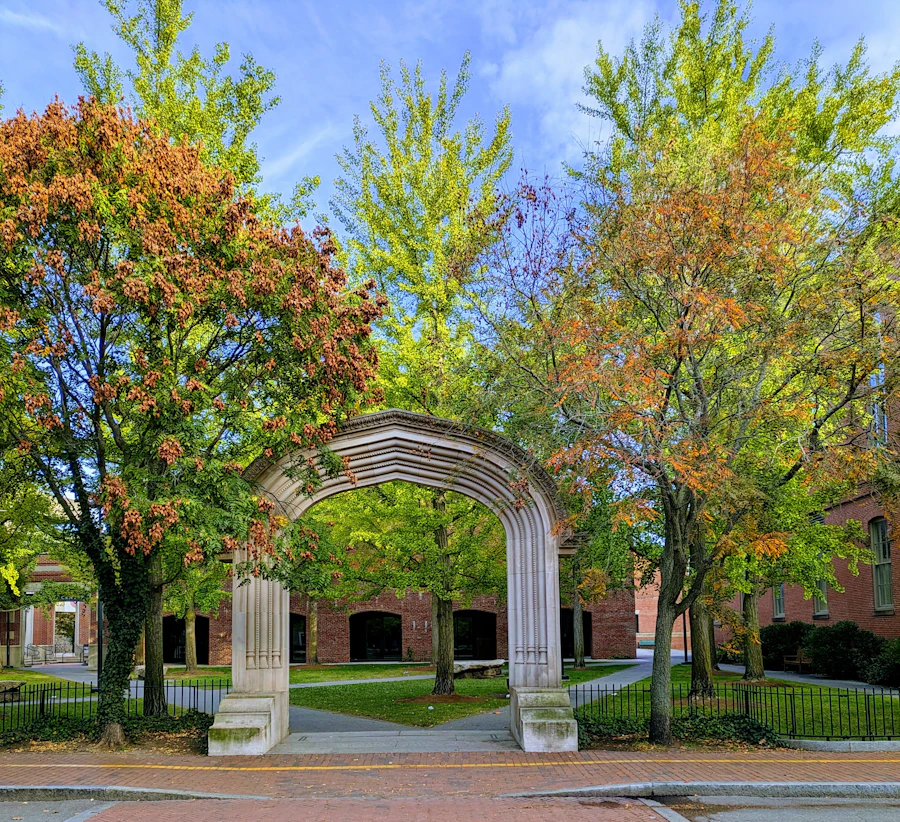 An arch over a brick walkway
