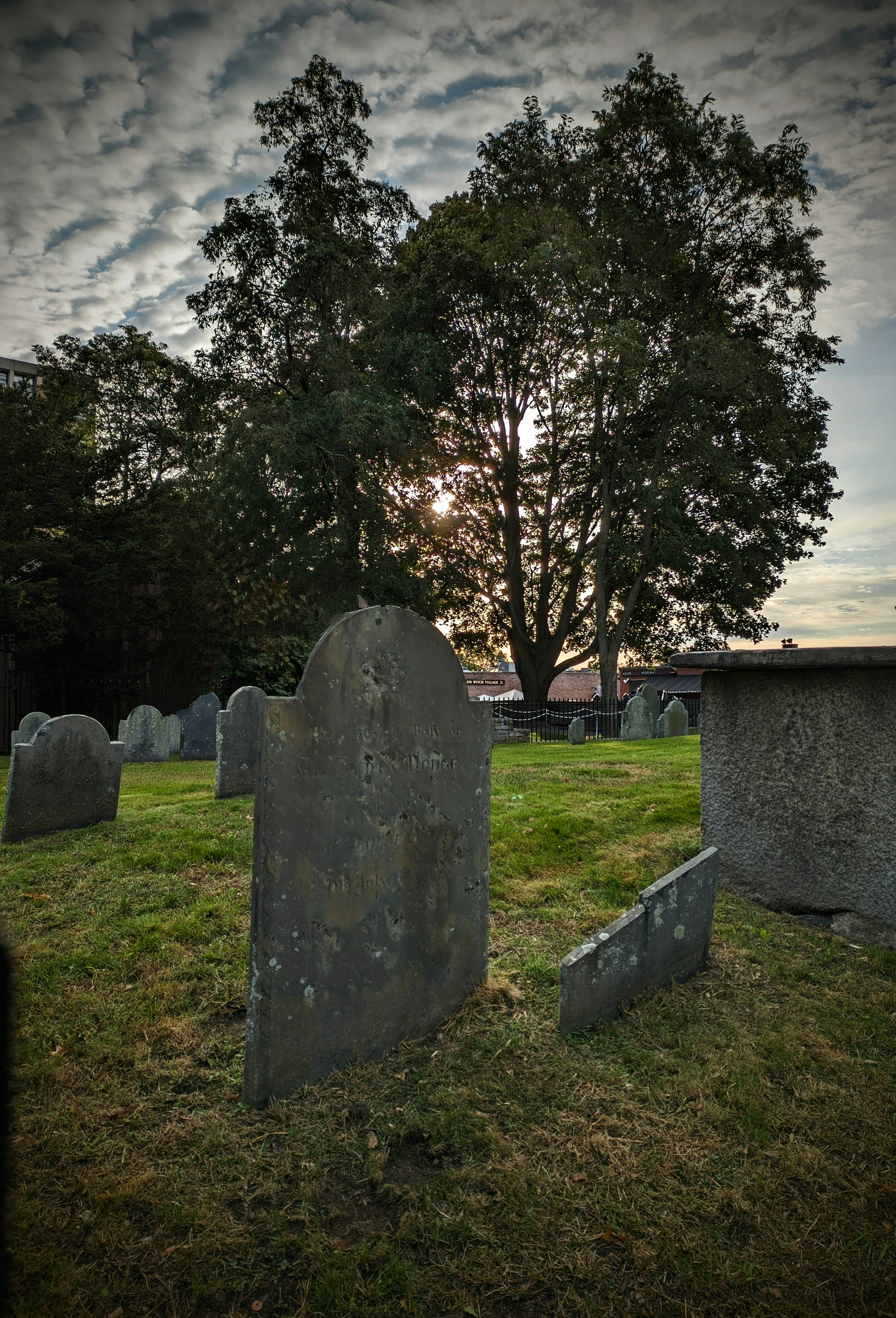 Photo by lauramichaelski23