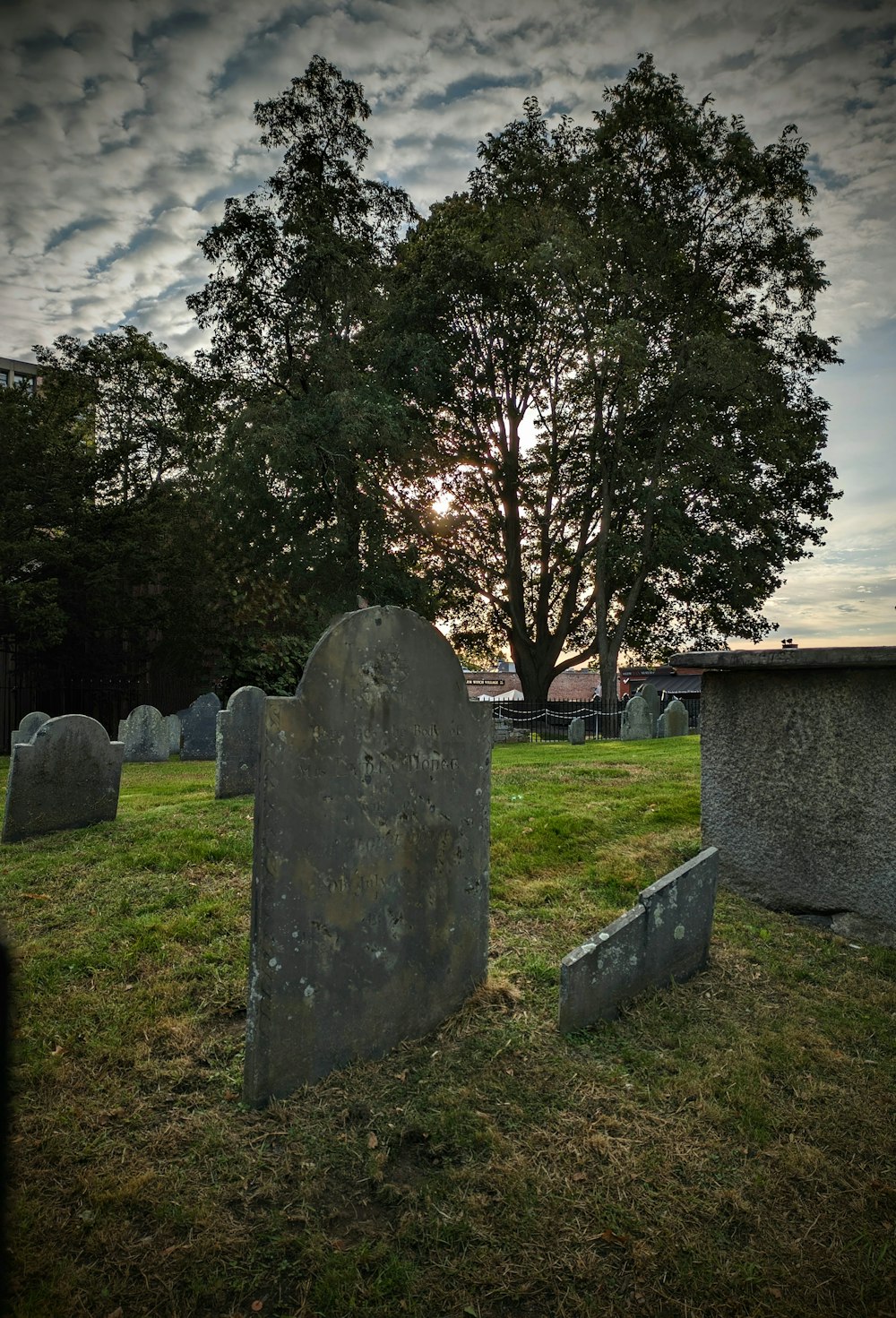 a cemetery with a tree in the background