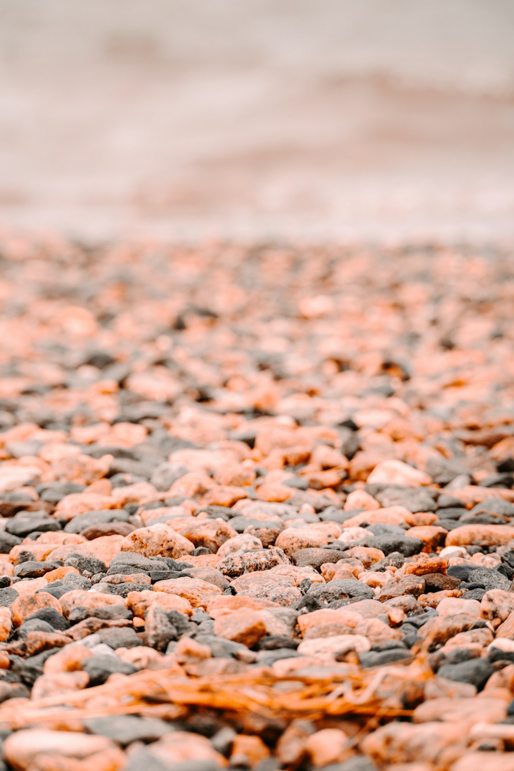 a close up of rocks and gravel with water in the background