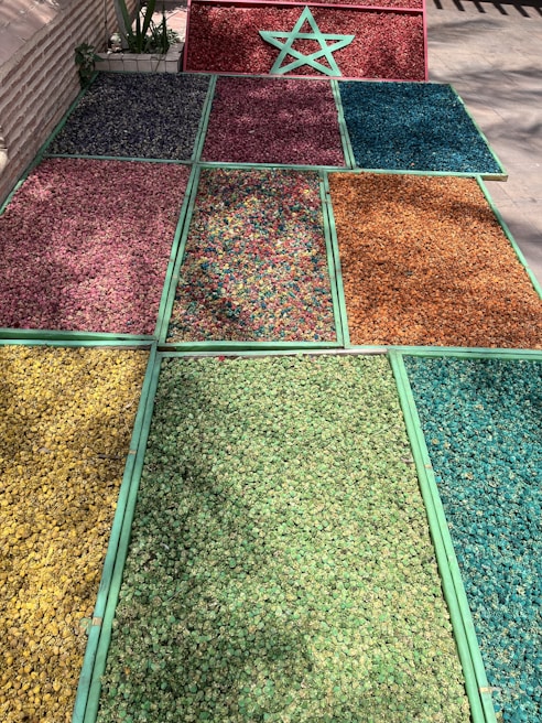 Rows of drying trays filled with vibrant dehydrated powders under the open sky.
