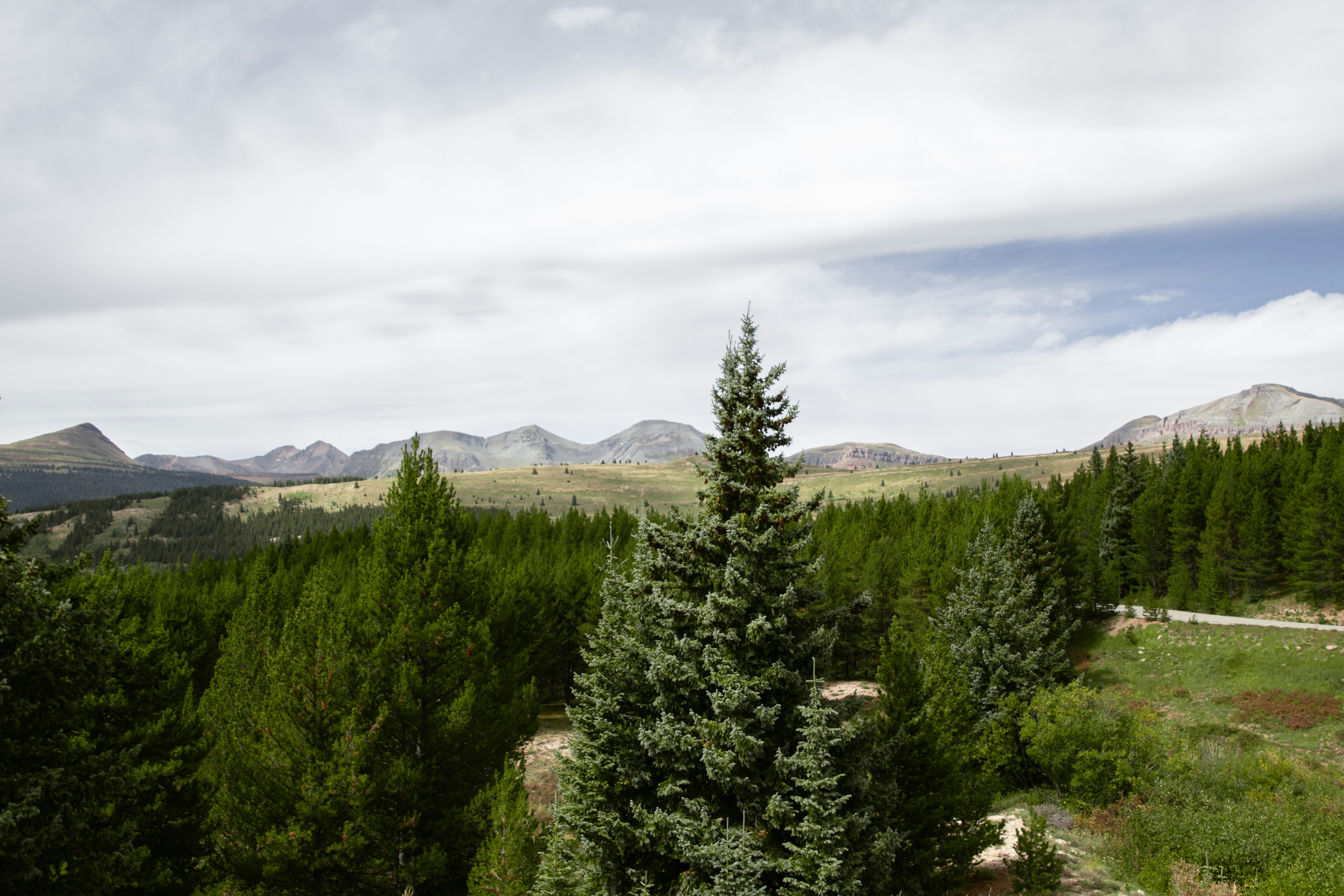 Photo by attaliehart