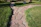 Close-up of a custom stone walkway winding through a well-maintained garden beside a modern home.