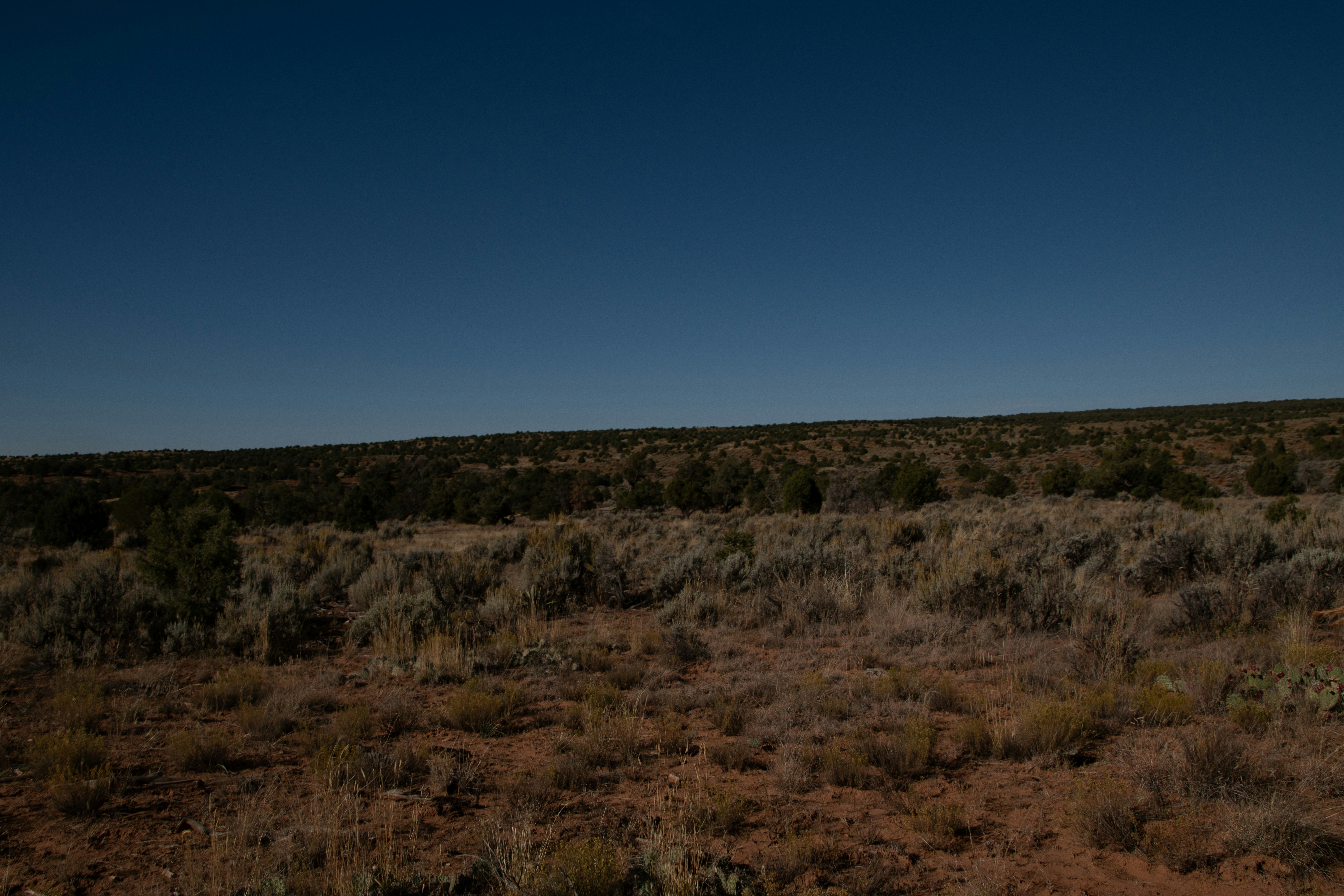 Photo by attaliehart