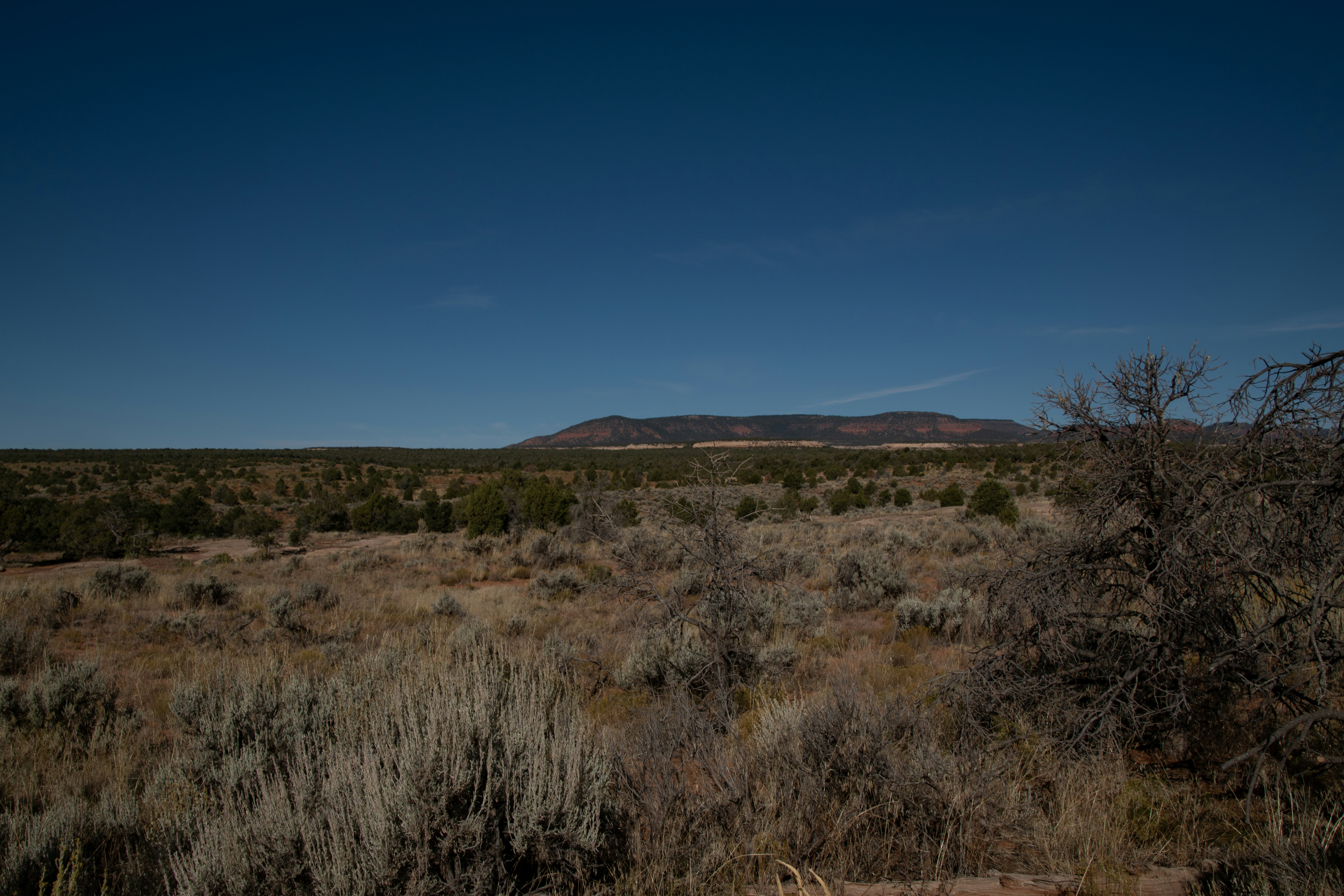 Photo by attaliehart