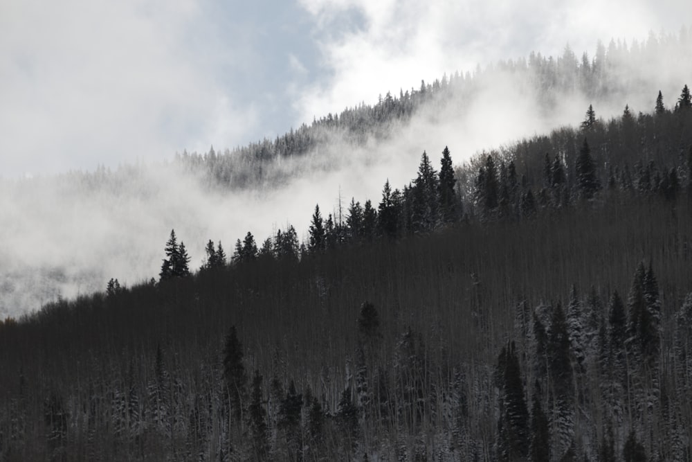 a mountain covered in snow and trees under a cloudy sky