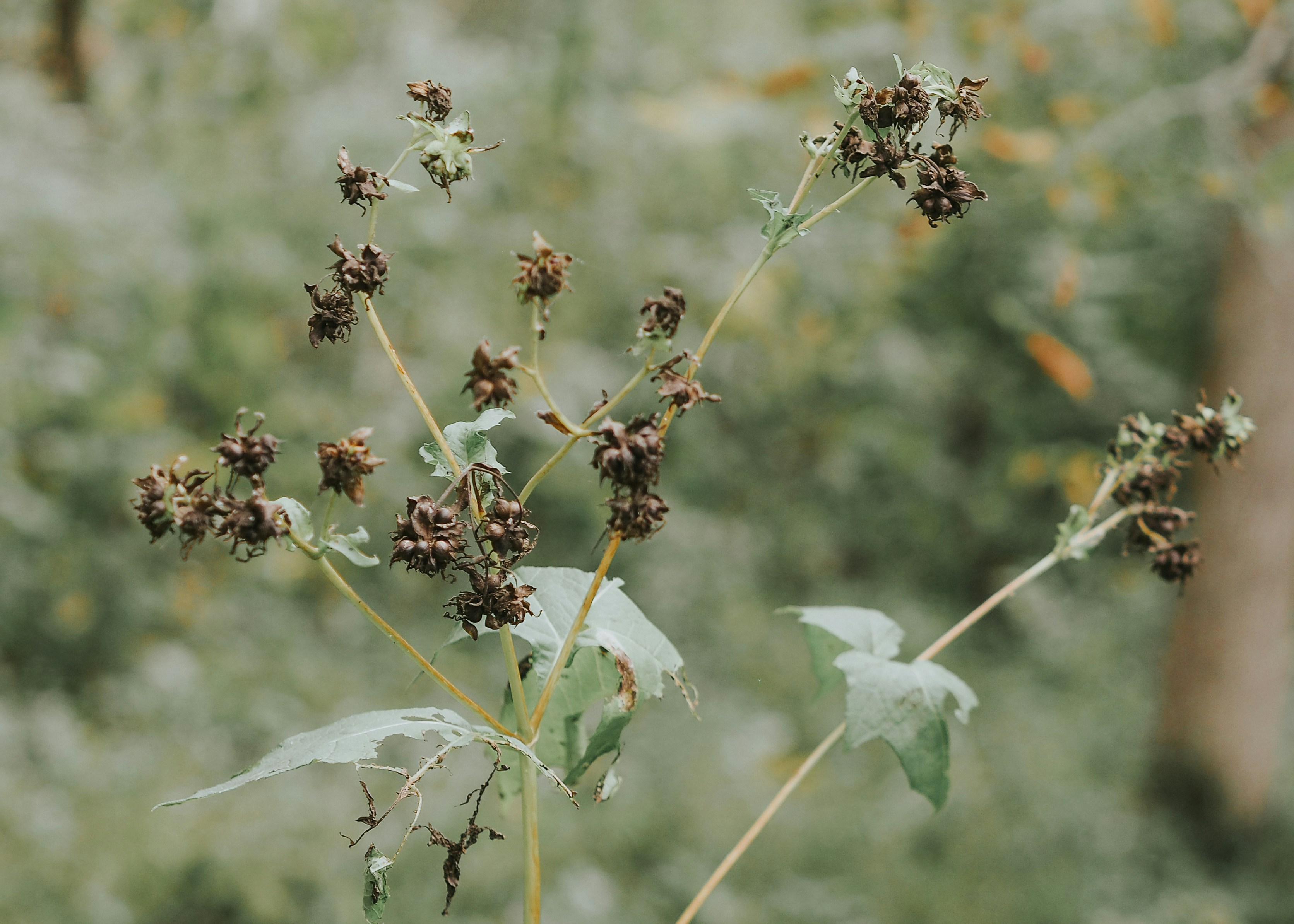 Photo by fieldworkframes