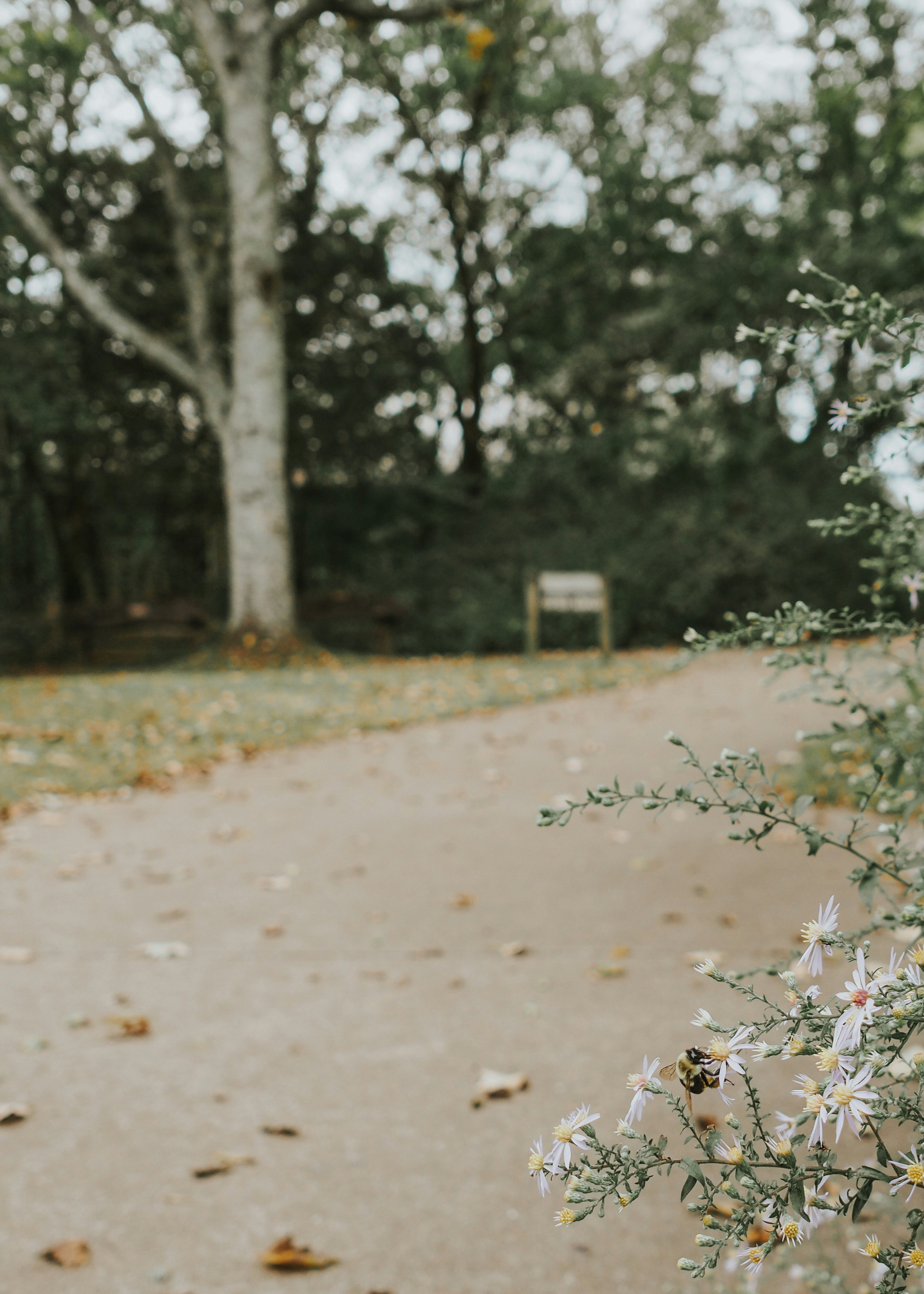 Photo by fieldworkframes