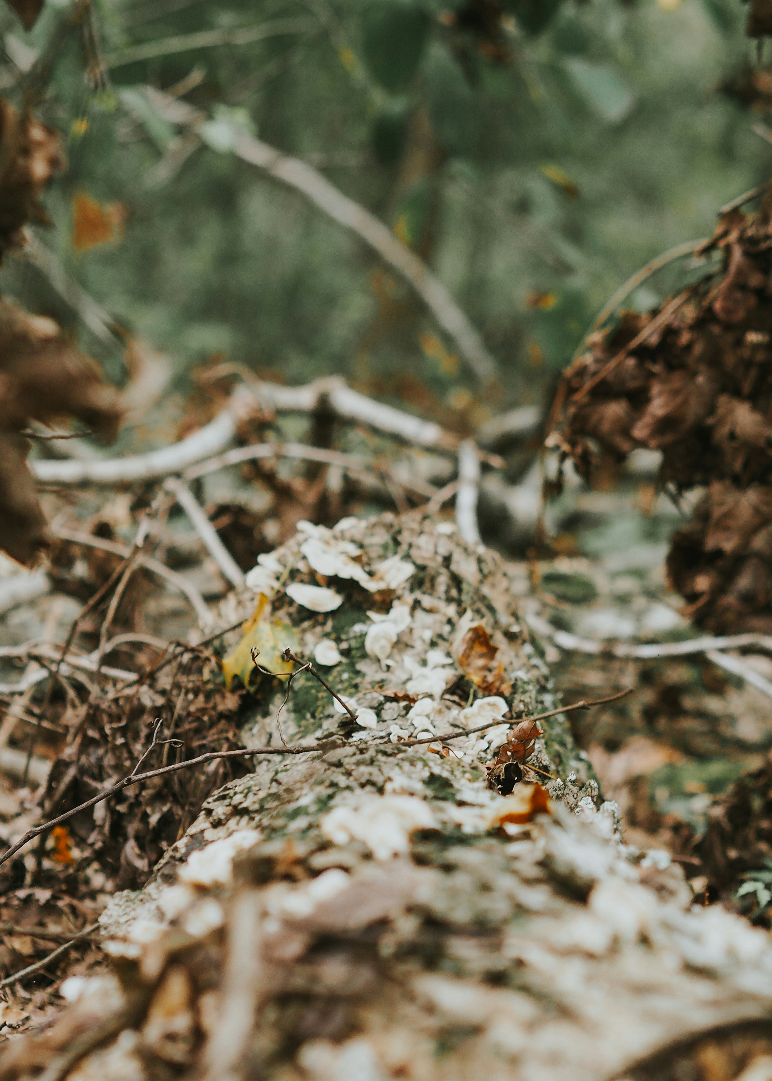 Photo by fieldworkframes