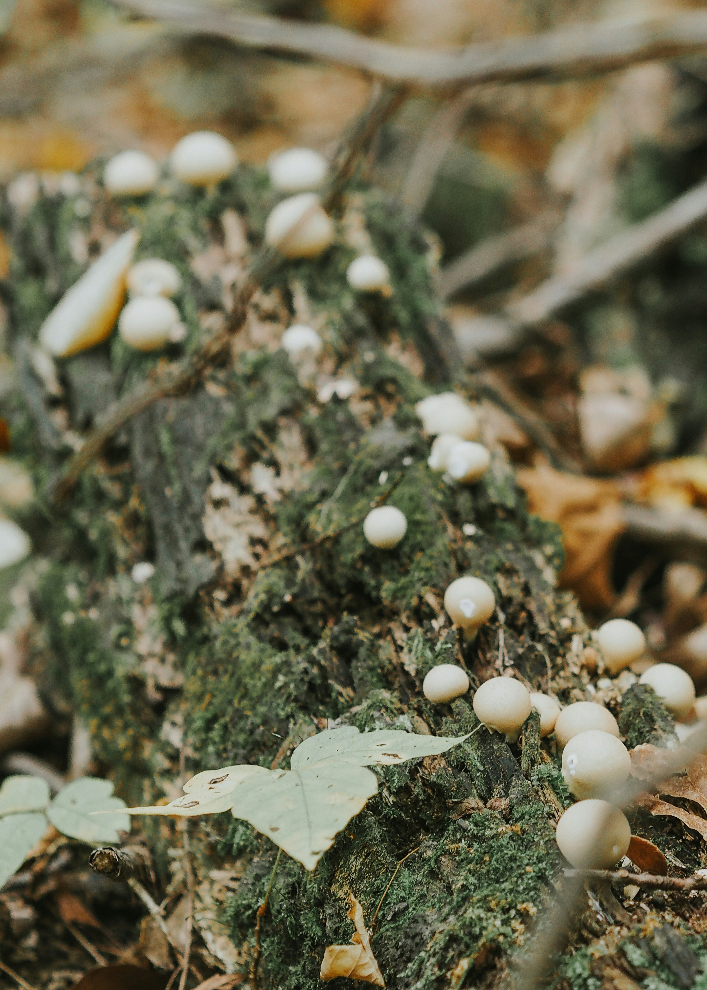 Photo by fieldworkframes