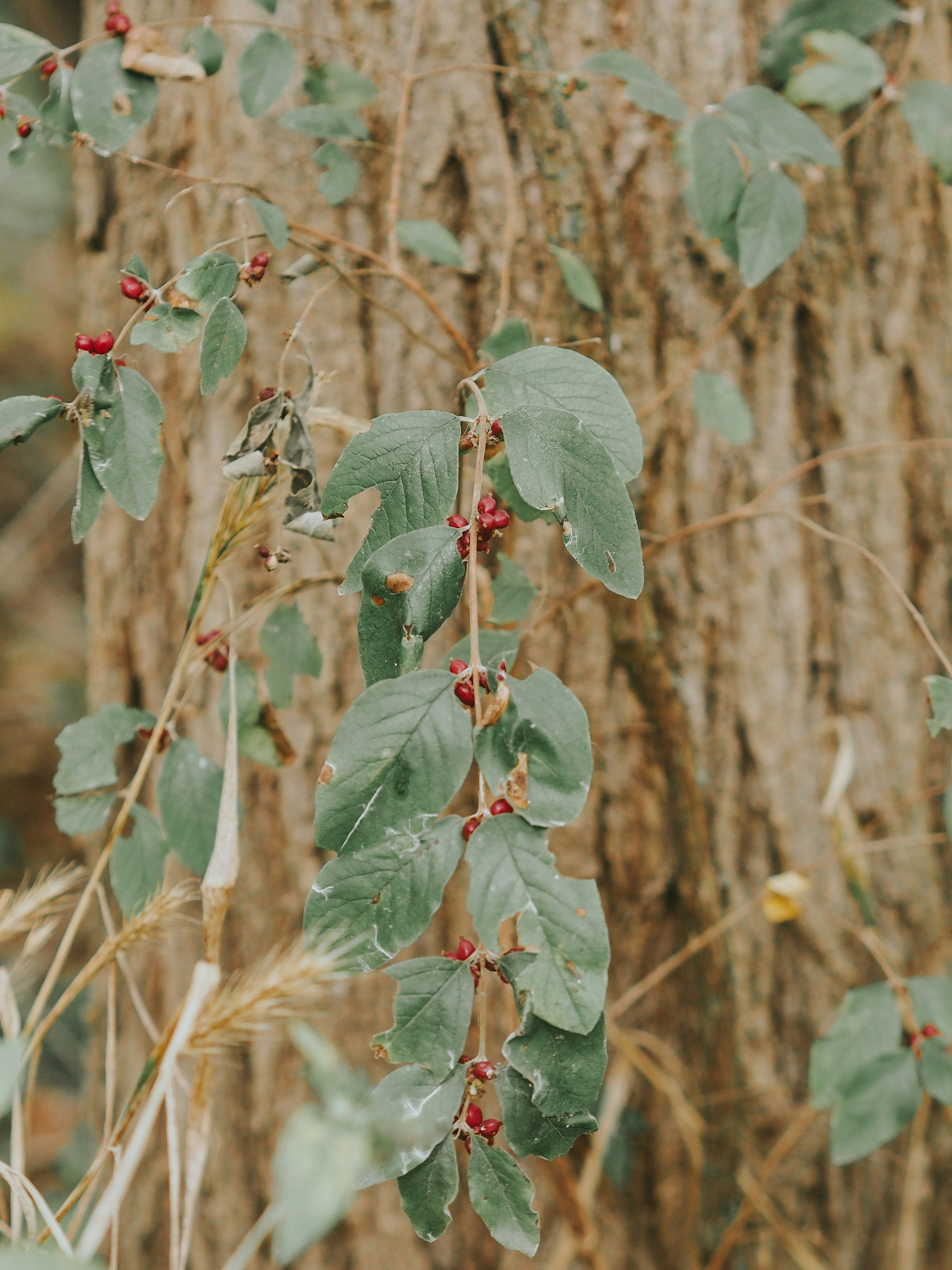 Photo by fieldworkframes