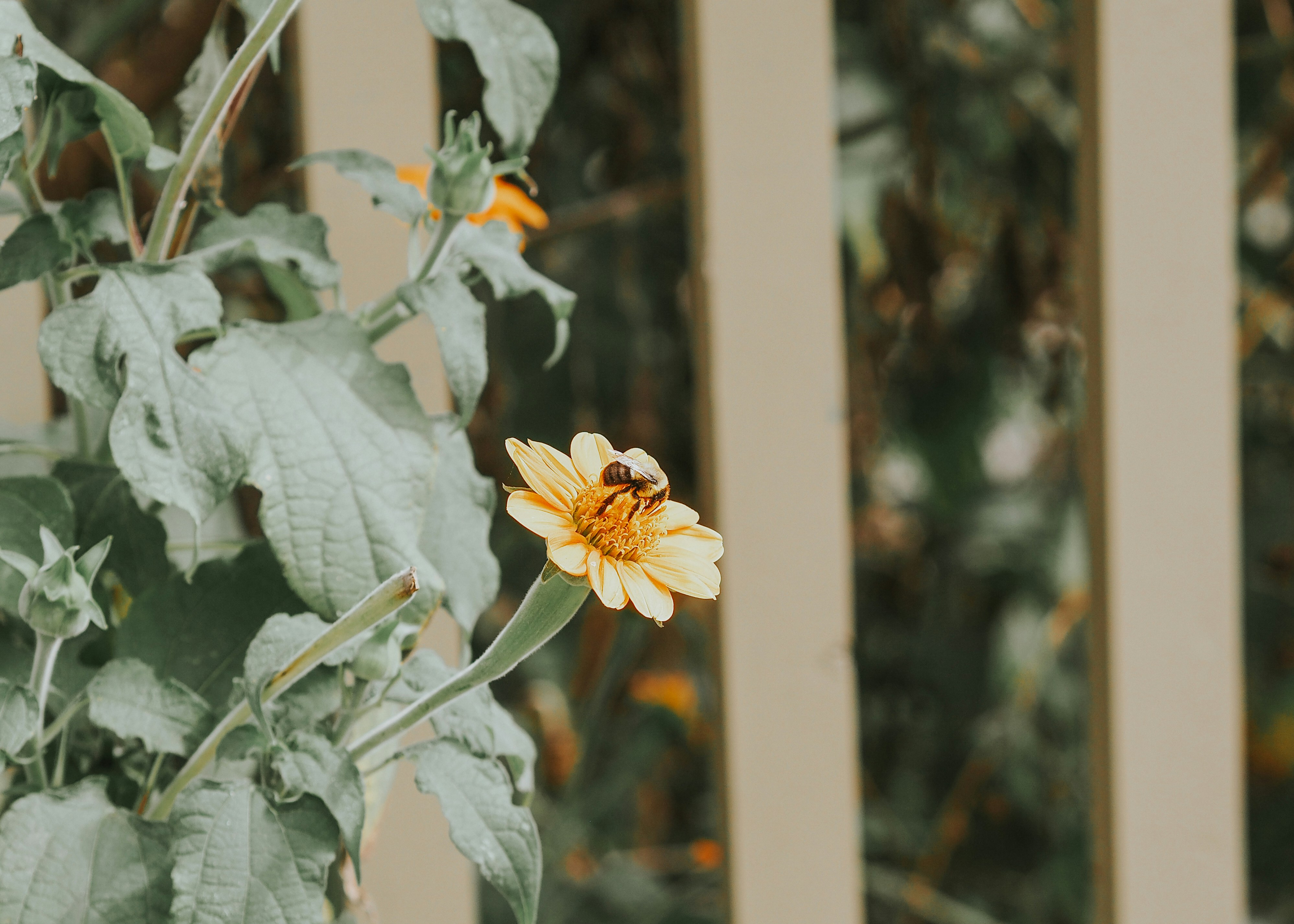 Photo by fieldworkframes