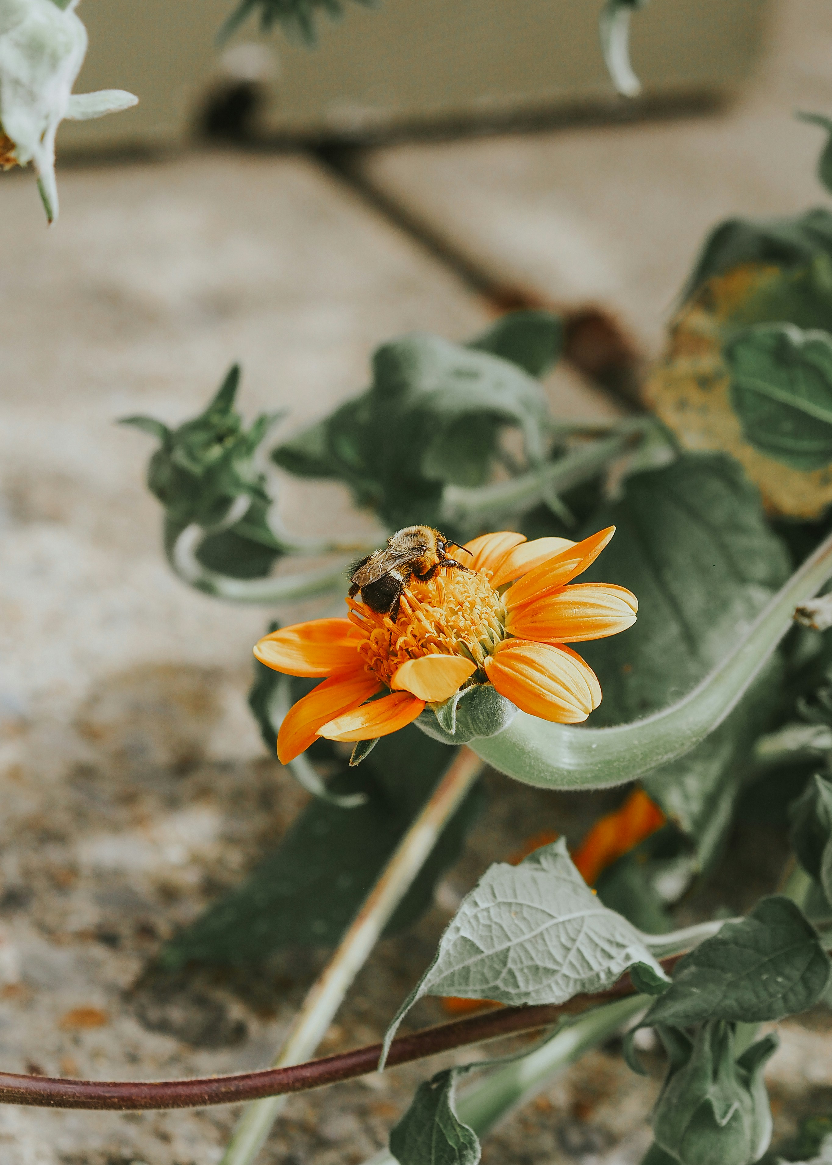 Photo by fieldworkframes