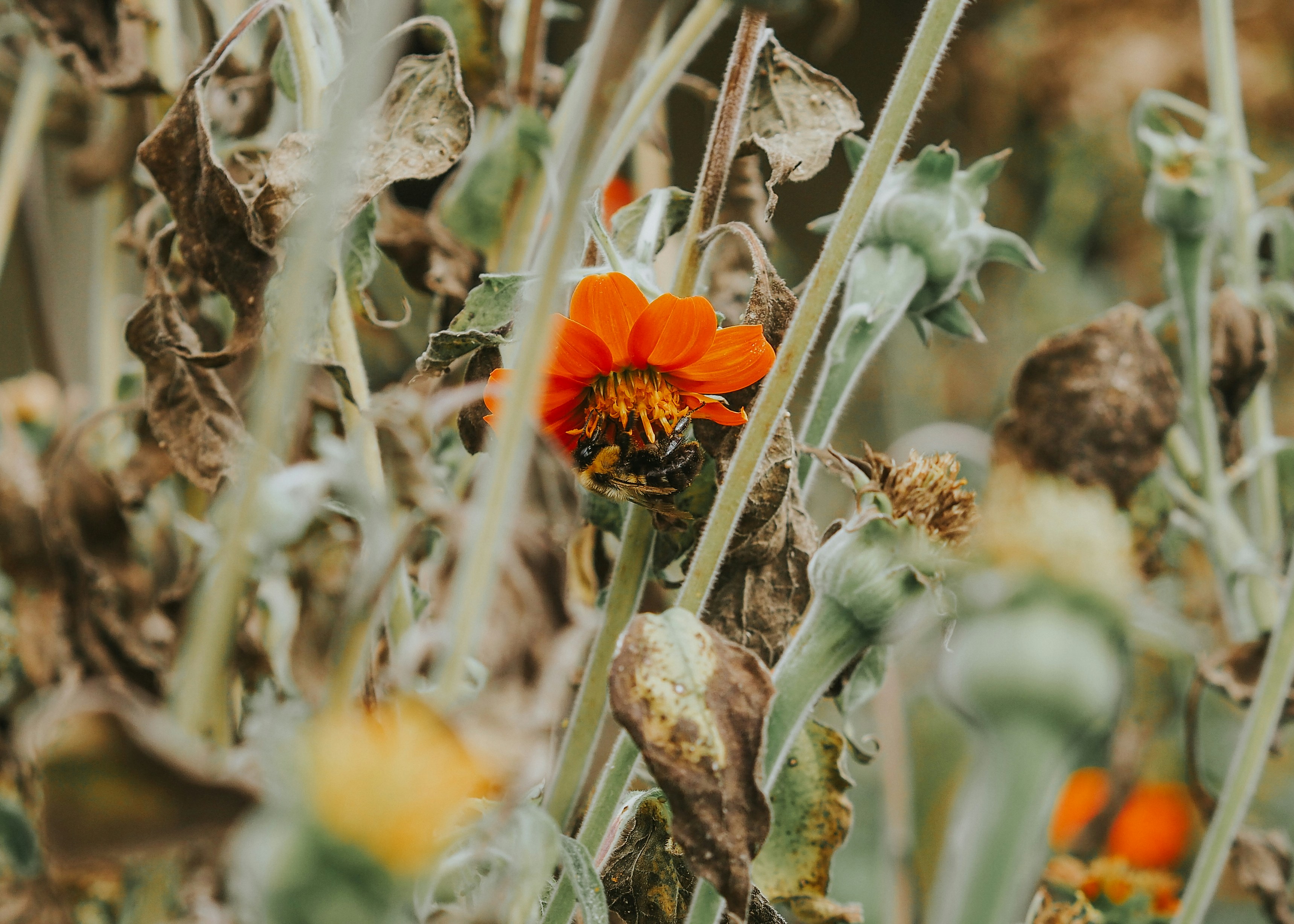 Photo by fieldworkframes