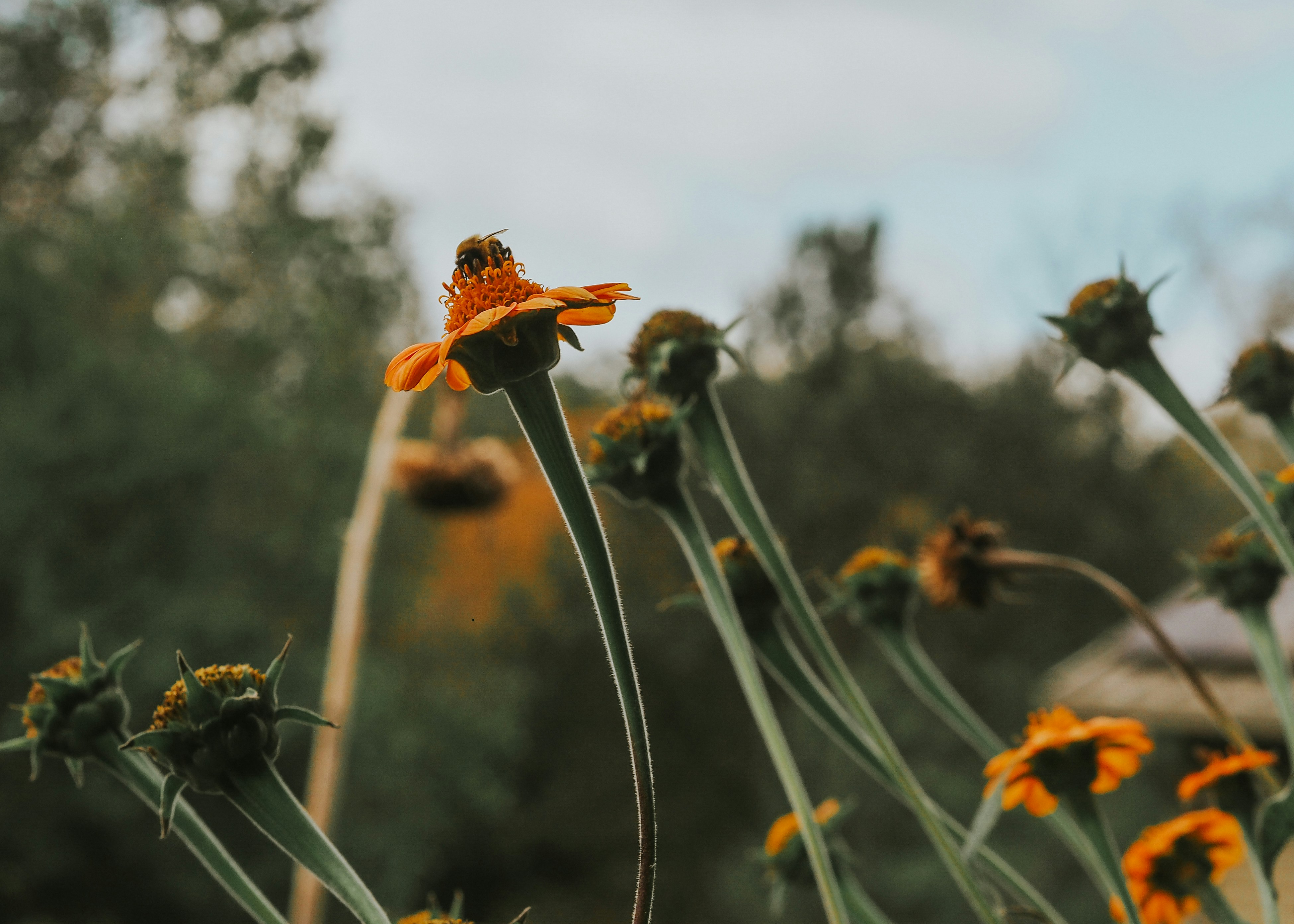 Photo by fieldworkframes