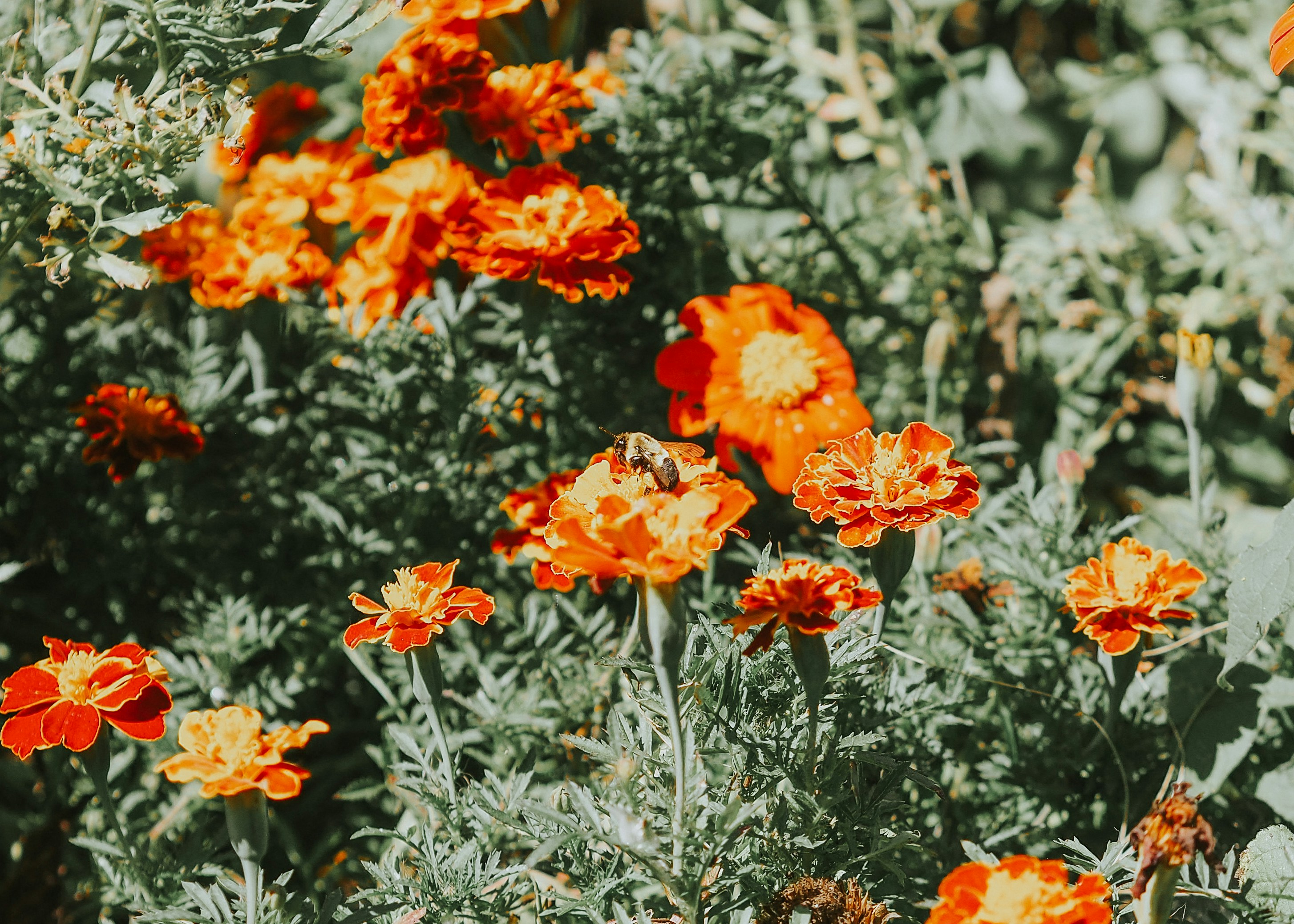 Photo by fieldworkframes