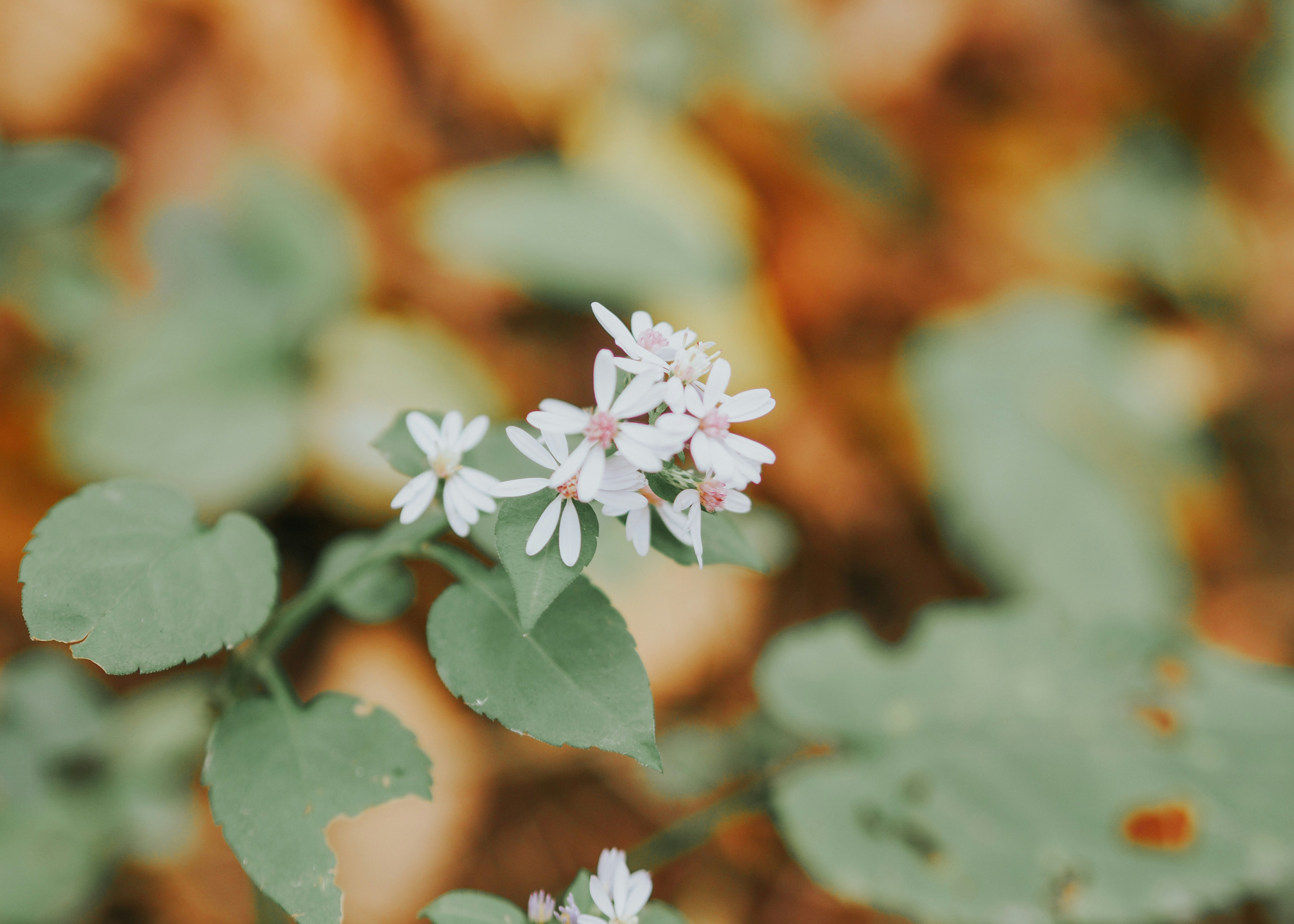 Photo by fieldworkframes