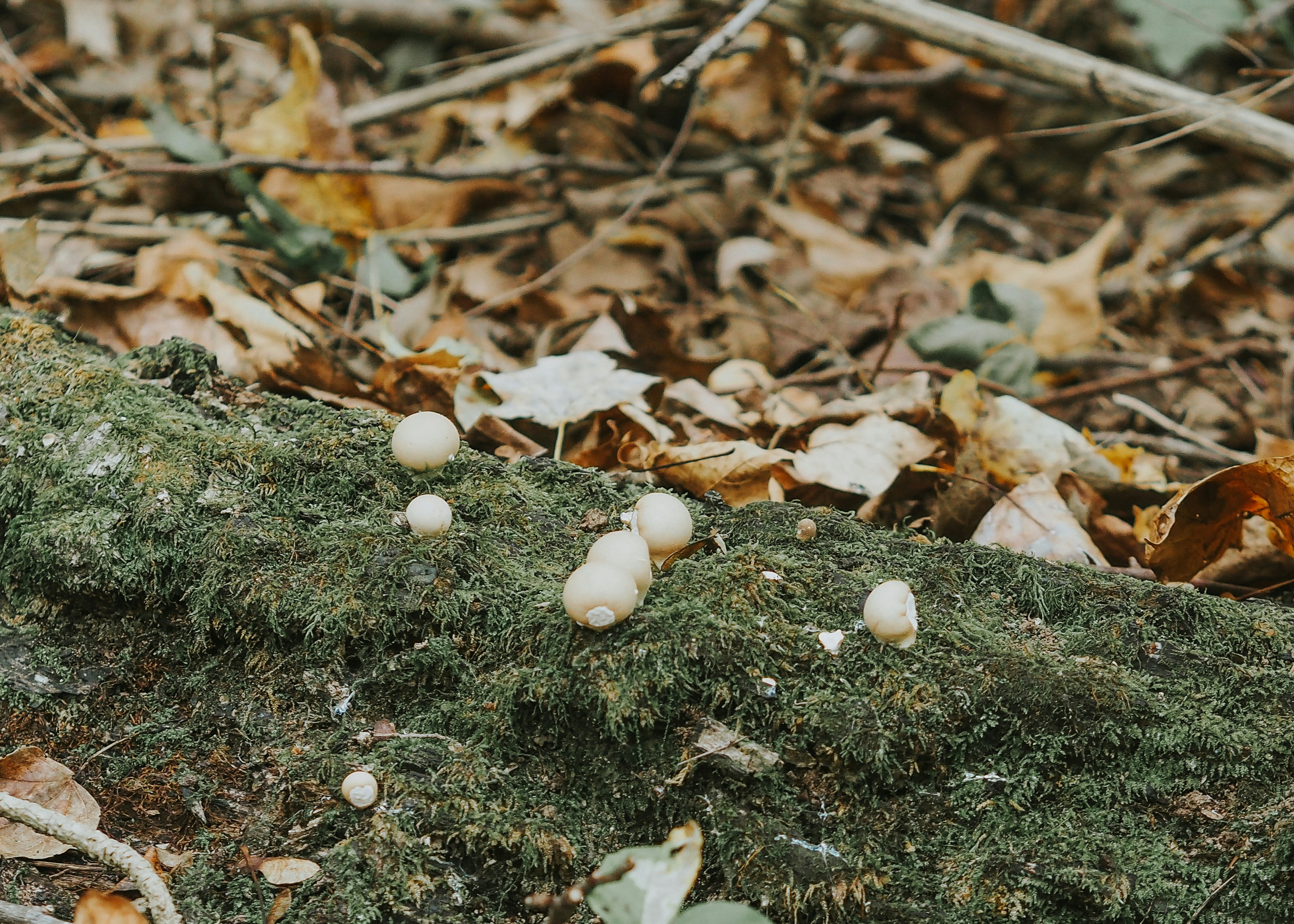 Photo by fieldworkframes