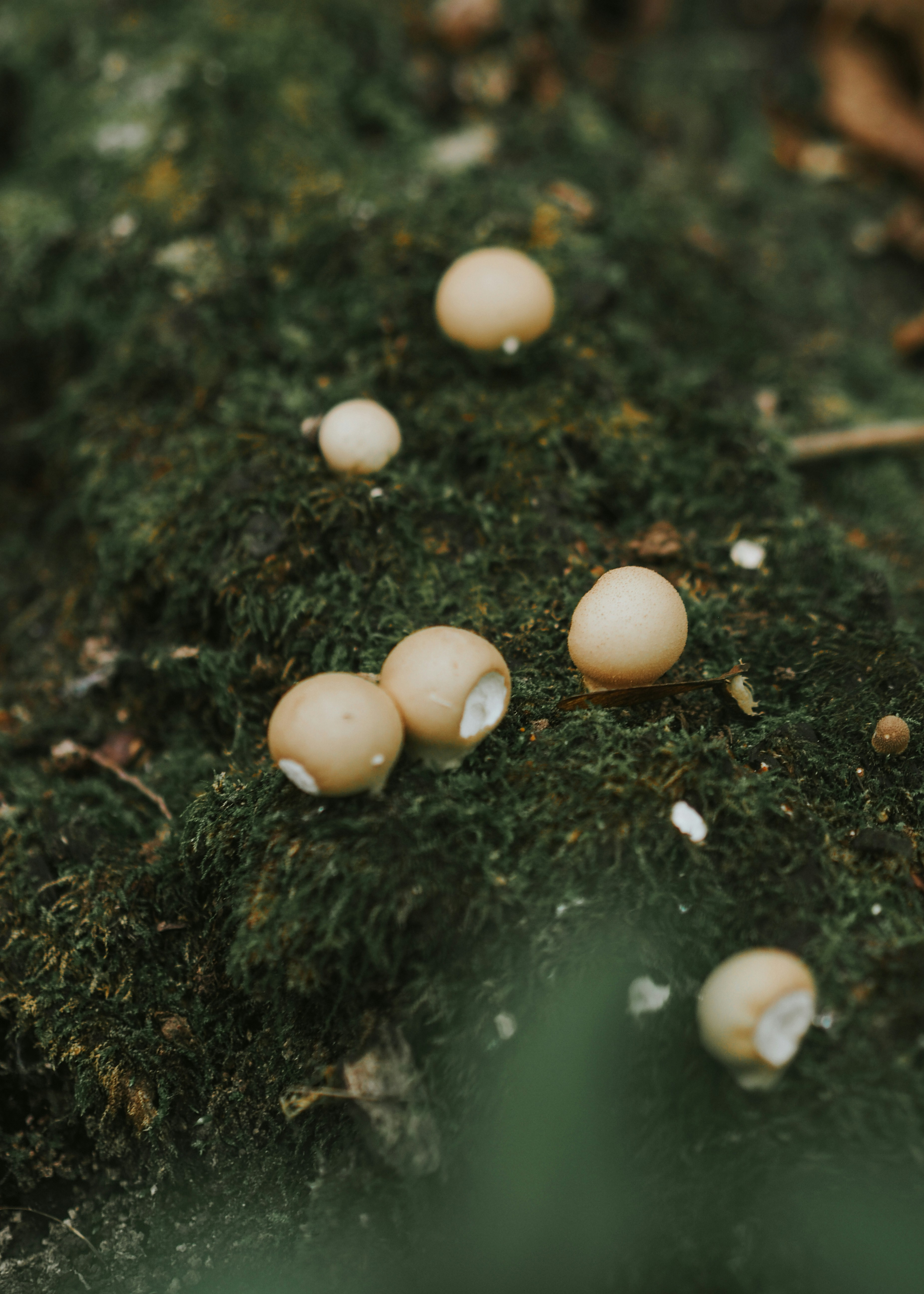 Photo by fieldworkframes