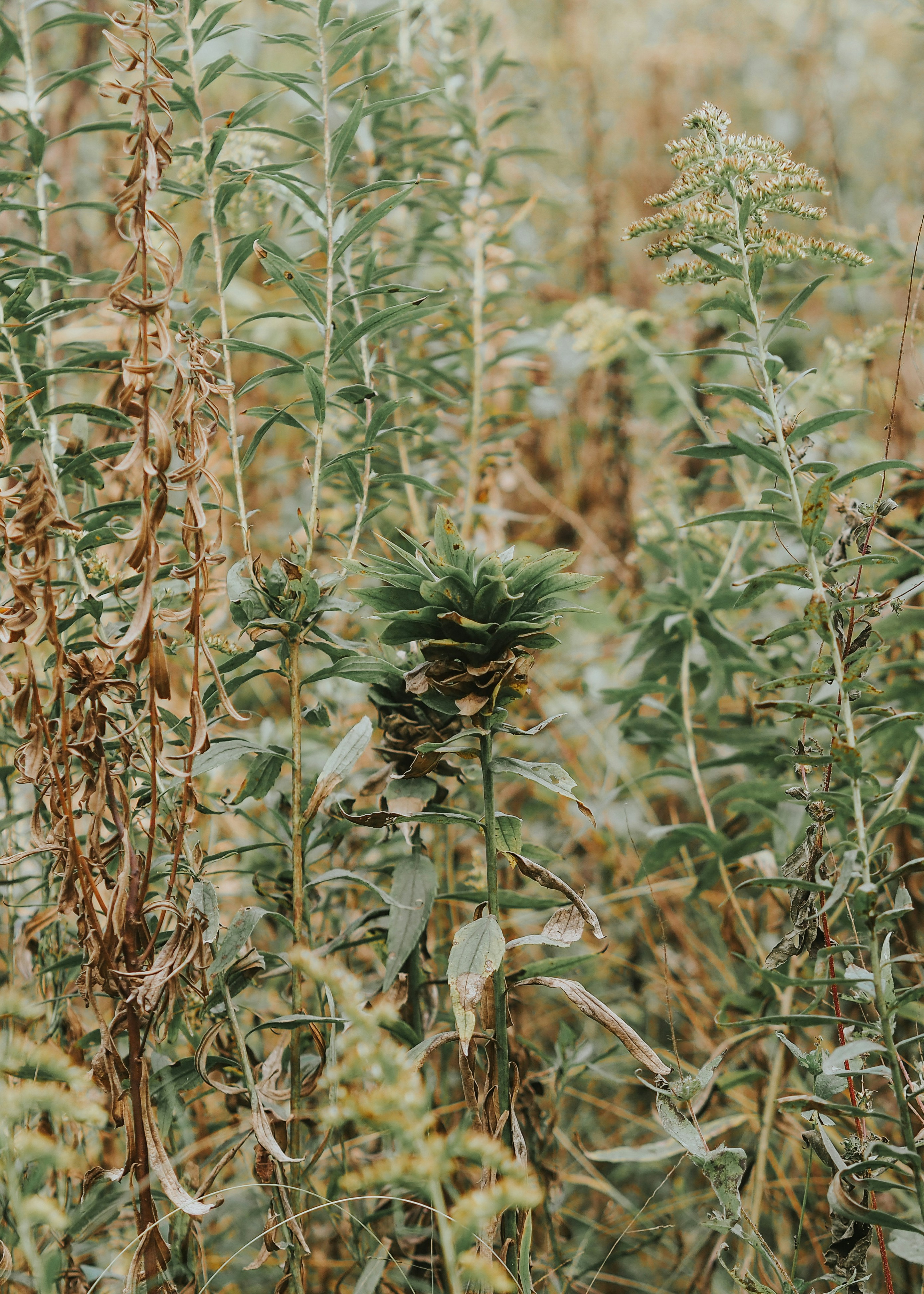 Photo by fieldworkframes