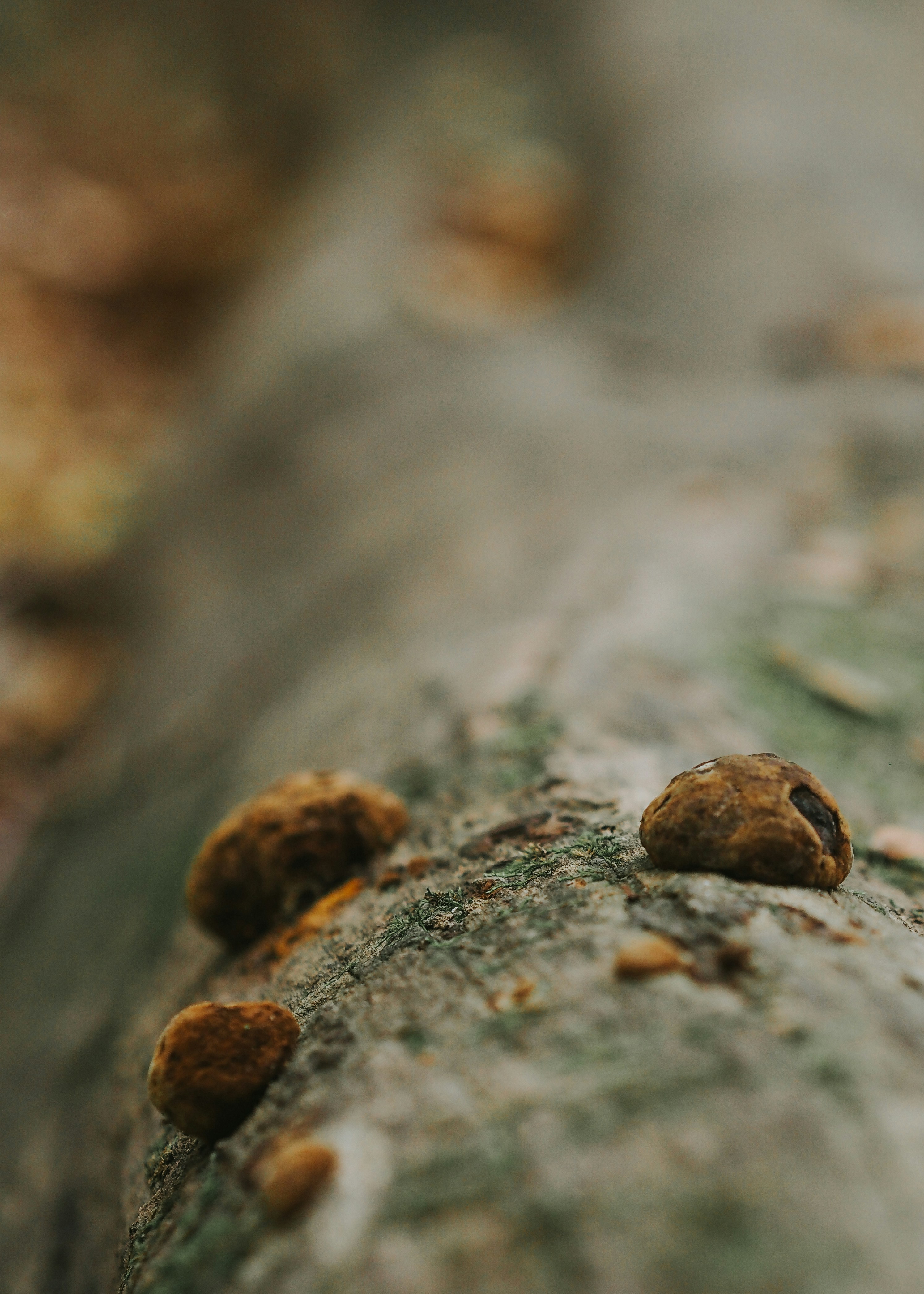 Photo by fieldworkframes